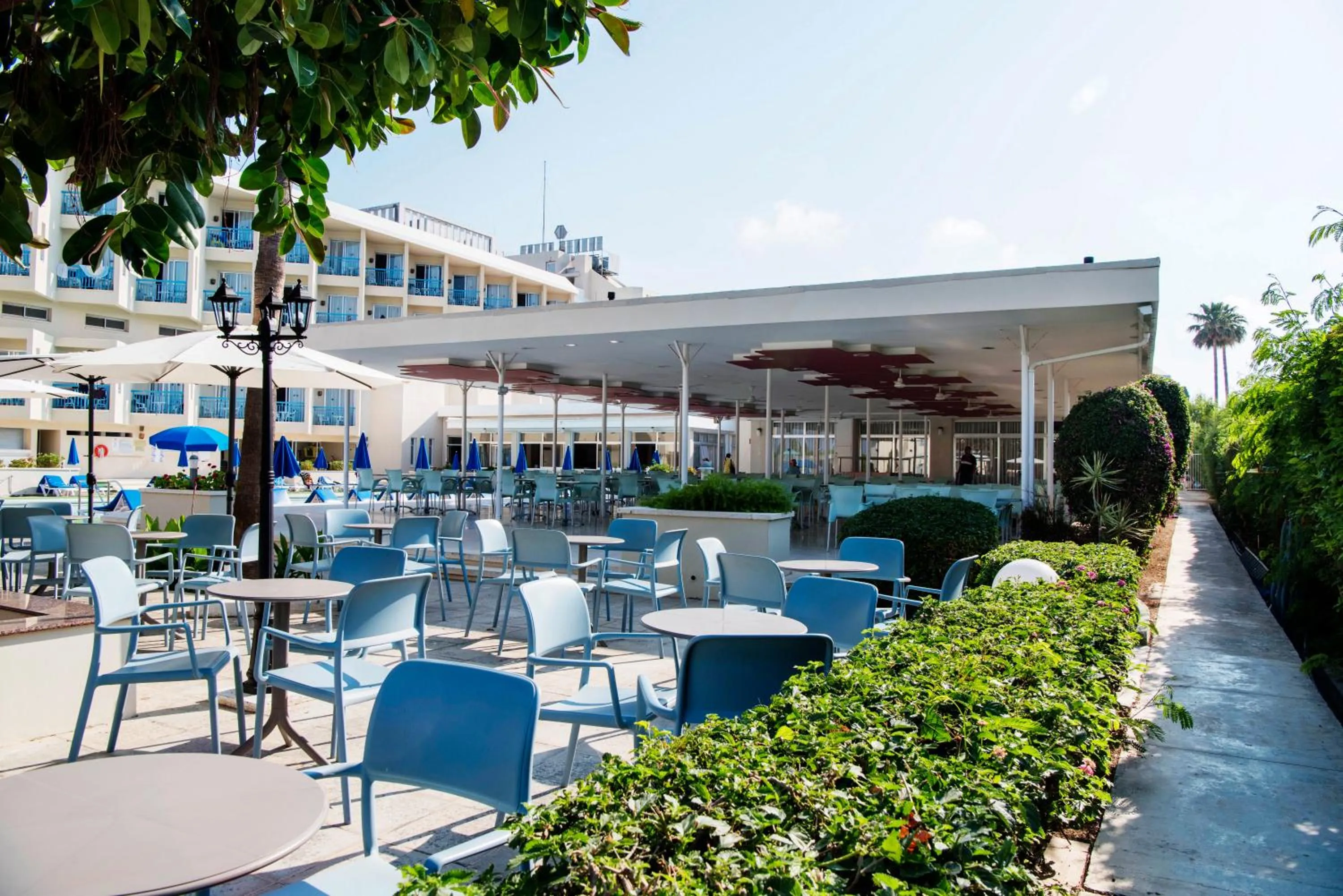 Lounge or bar in Kissos Hotel