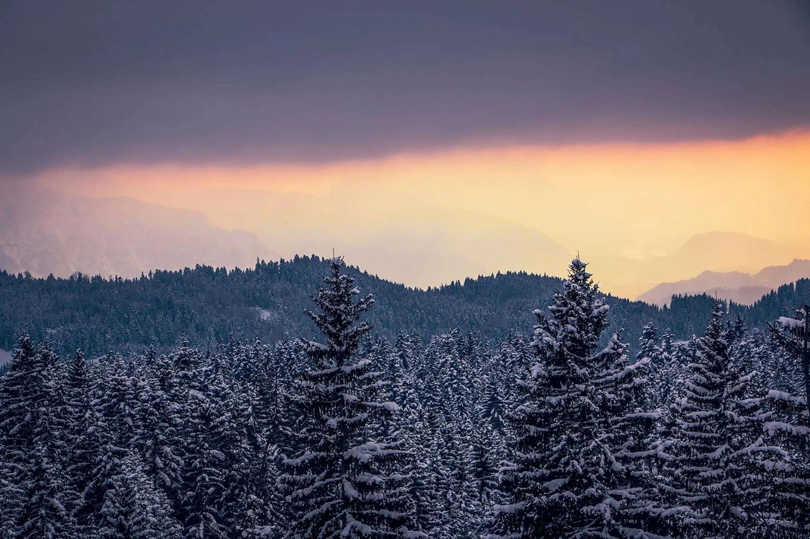 Natural landscape in Hotel & Gasthaus Dresch