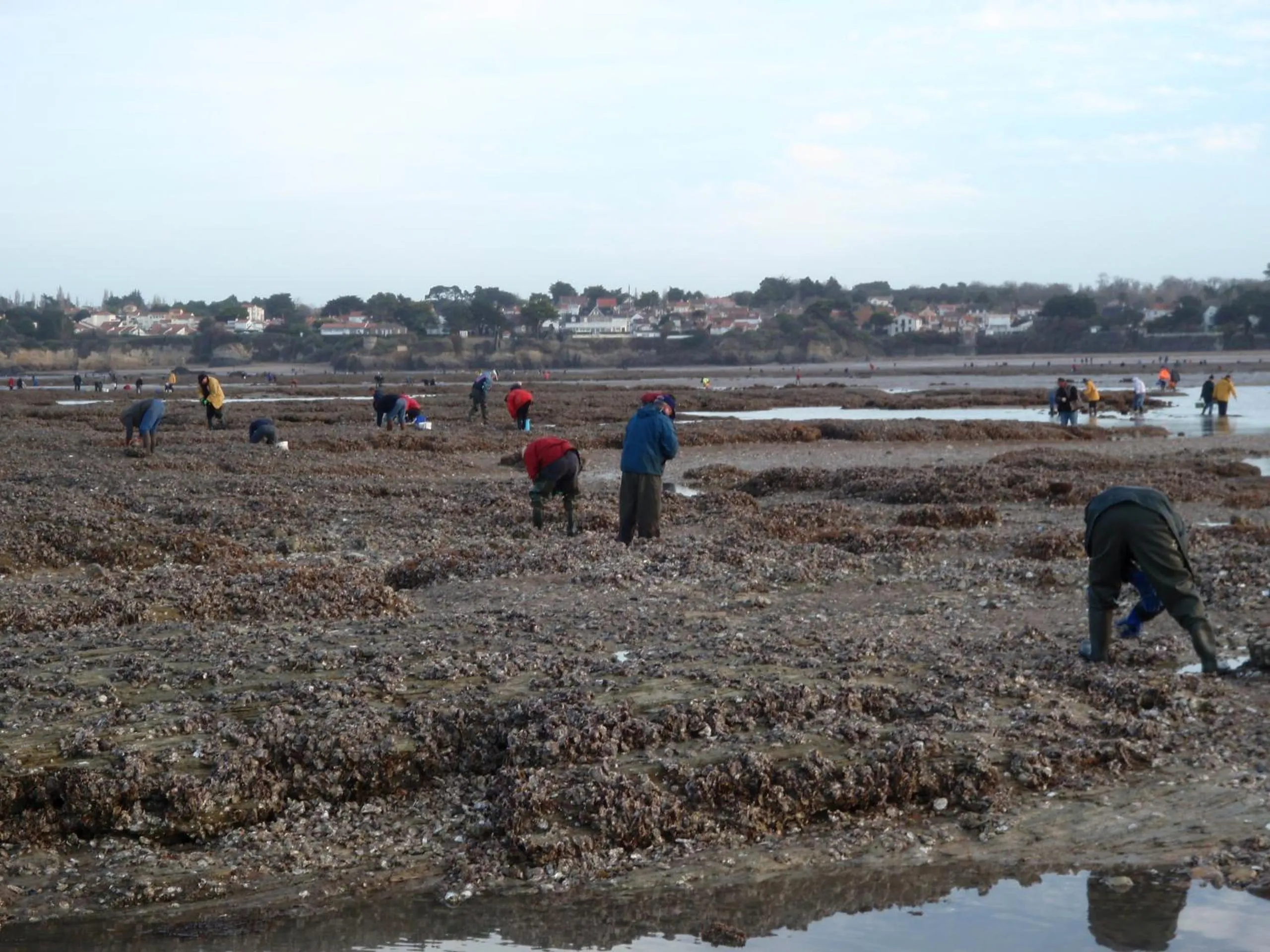 Off site in La Belgerie