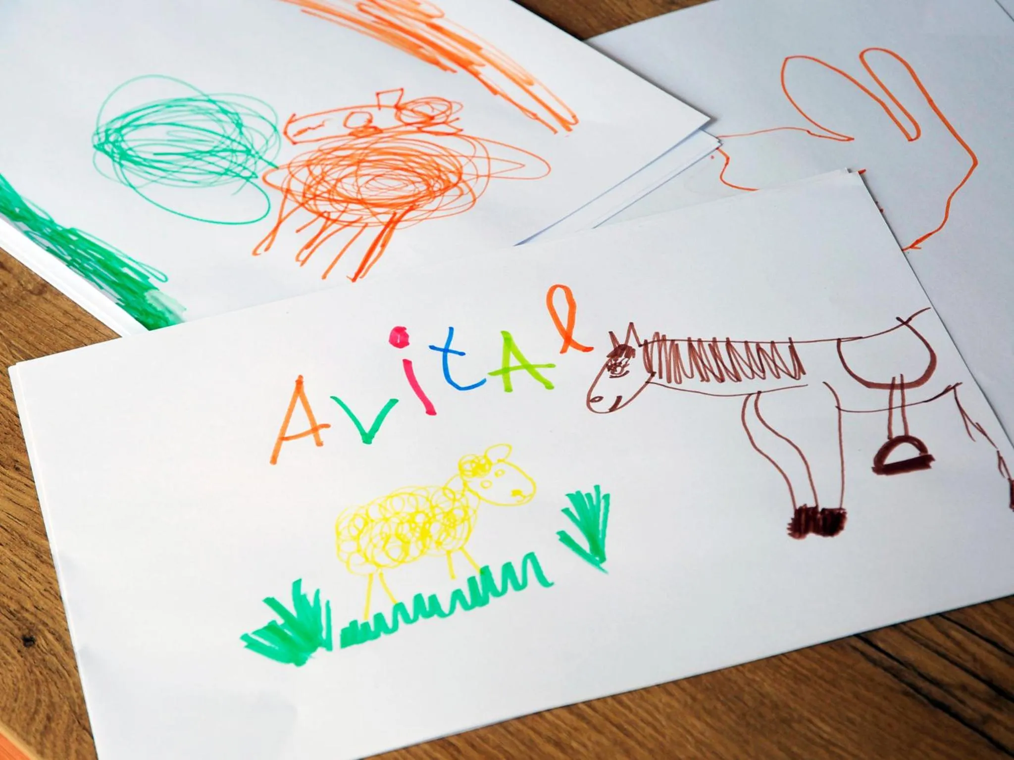 Other in AVITAL Resort