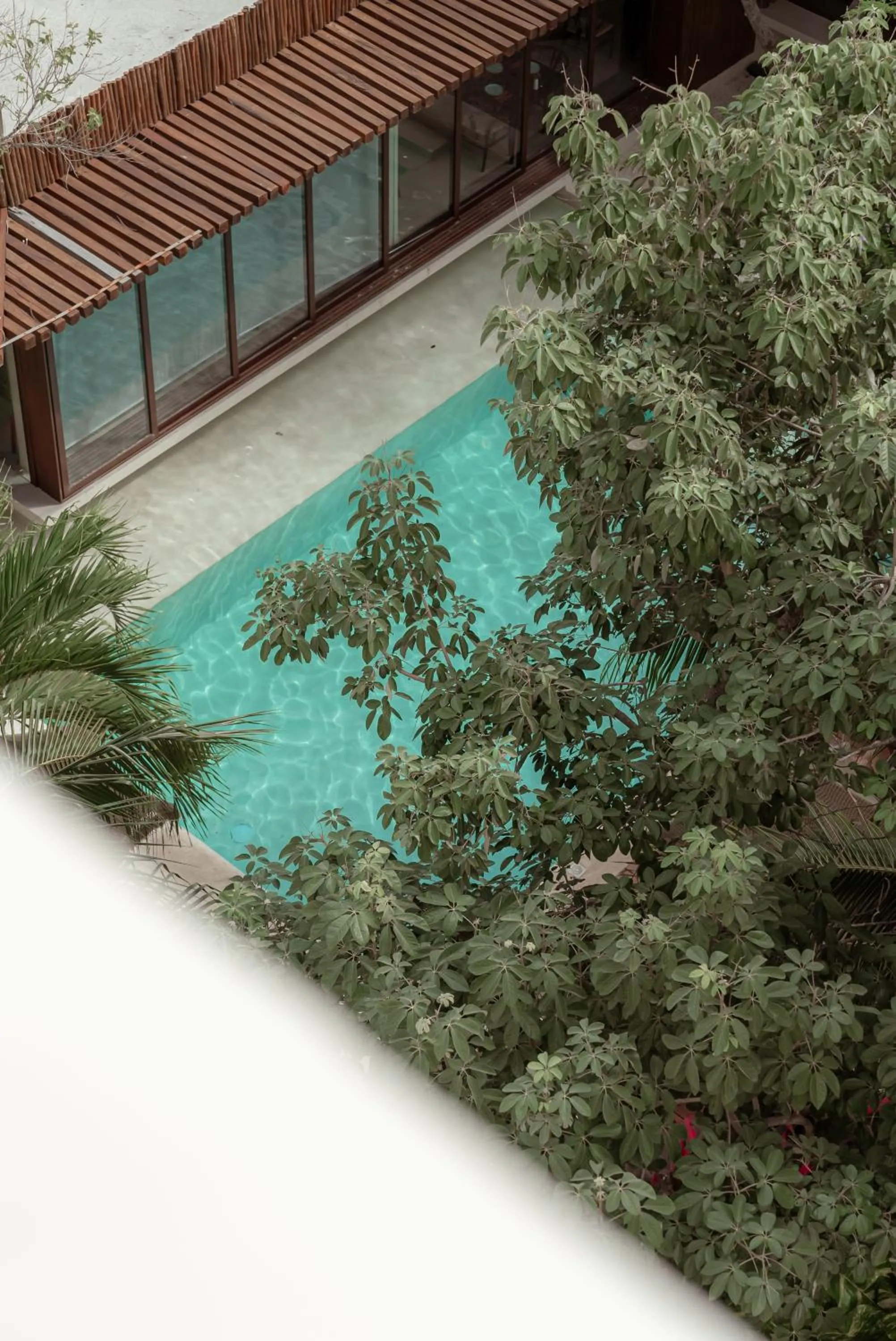 Pool view in Prana Boutique Hotel Tulum
