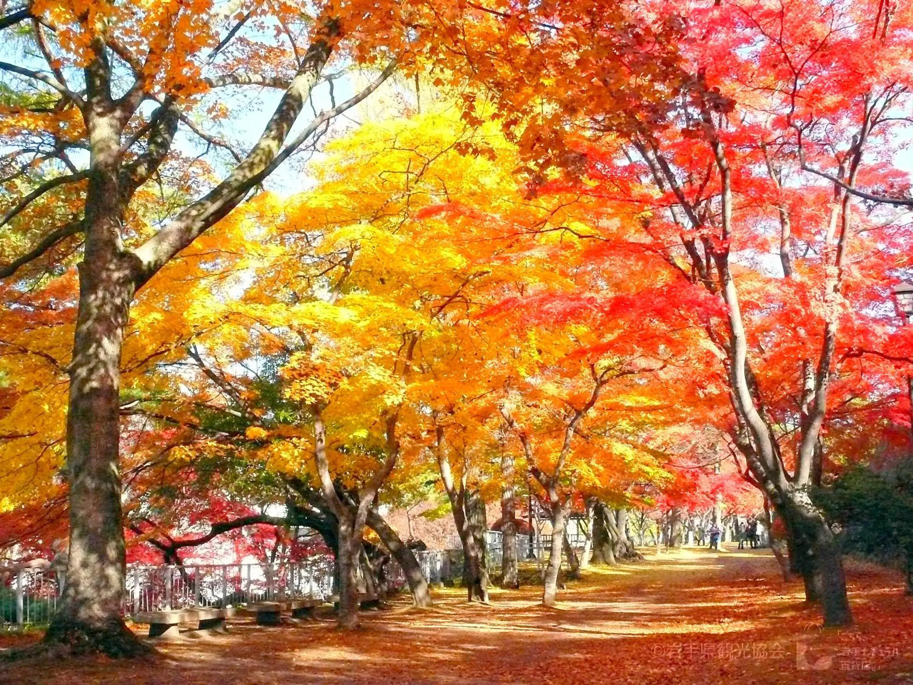 Nearby landmark in Art Hotel Morioka