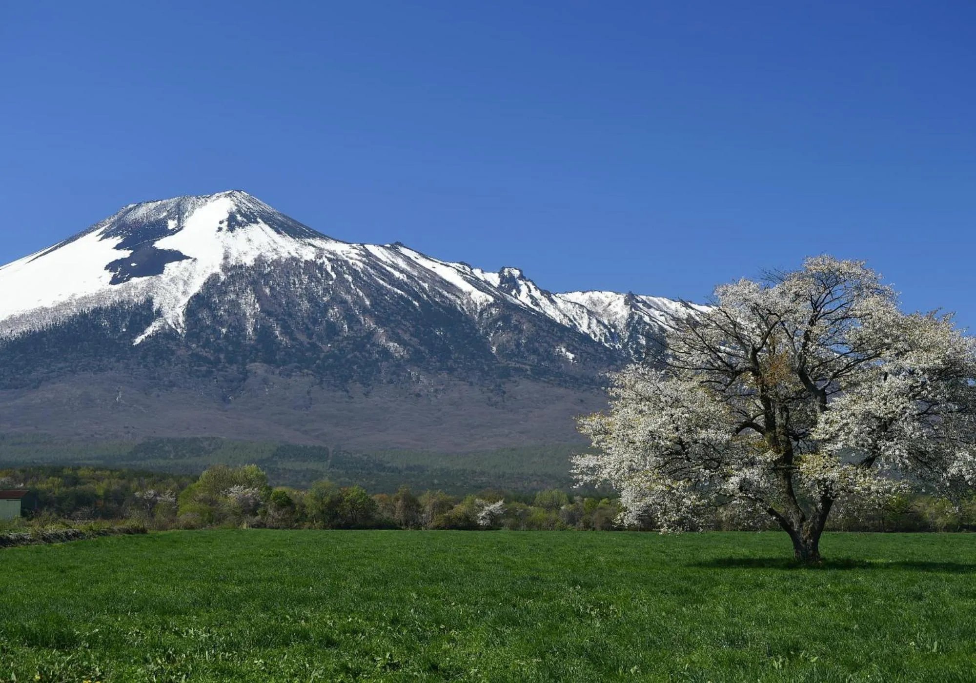 Nearby landmark in Art Hotel Morioka