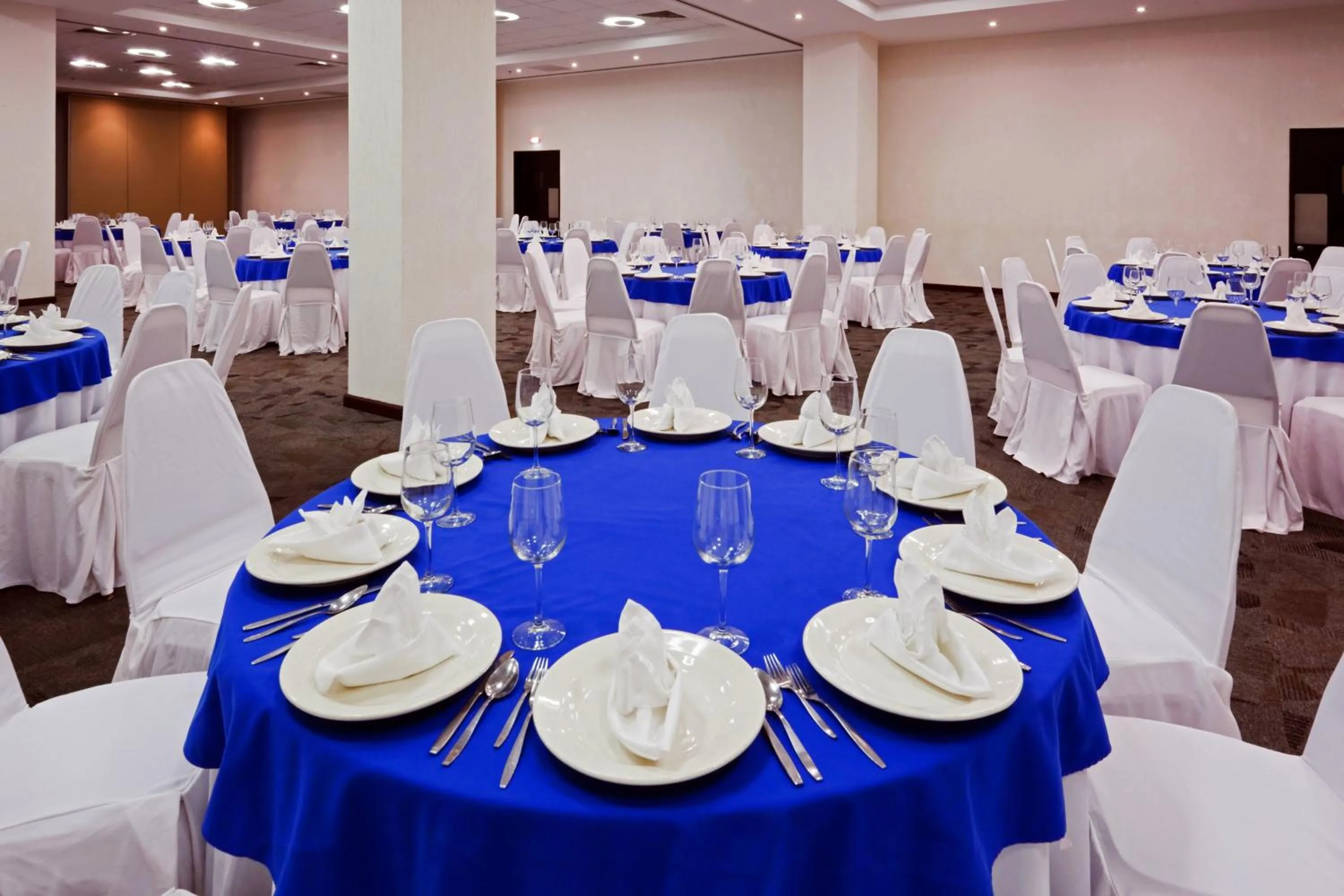 Banquet/Function facilities in Holiday Inn Campeche by IHG