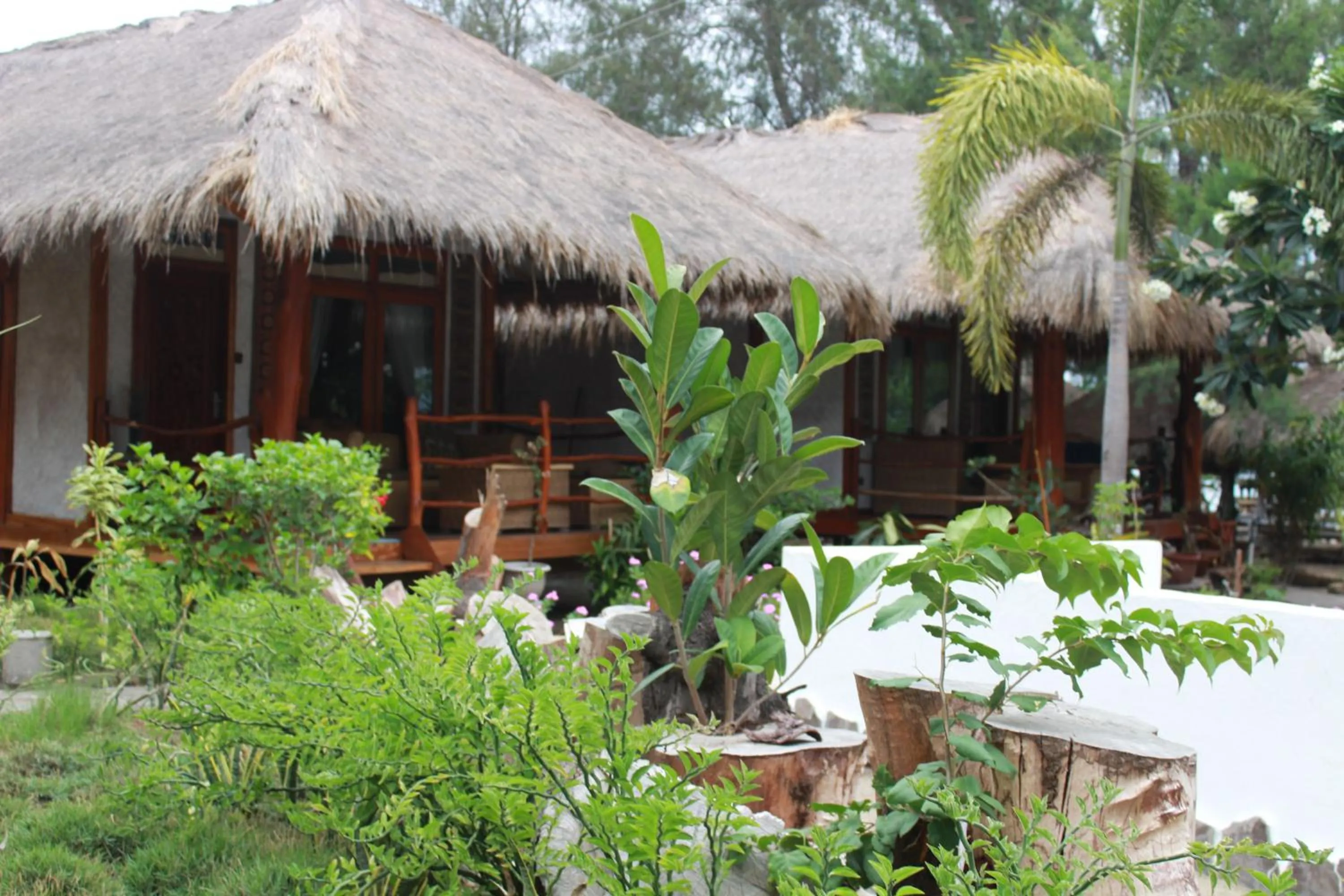 Property building in Biba Beach Village