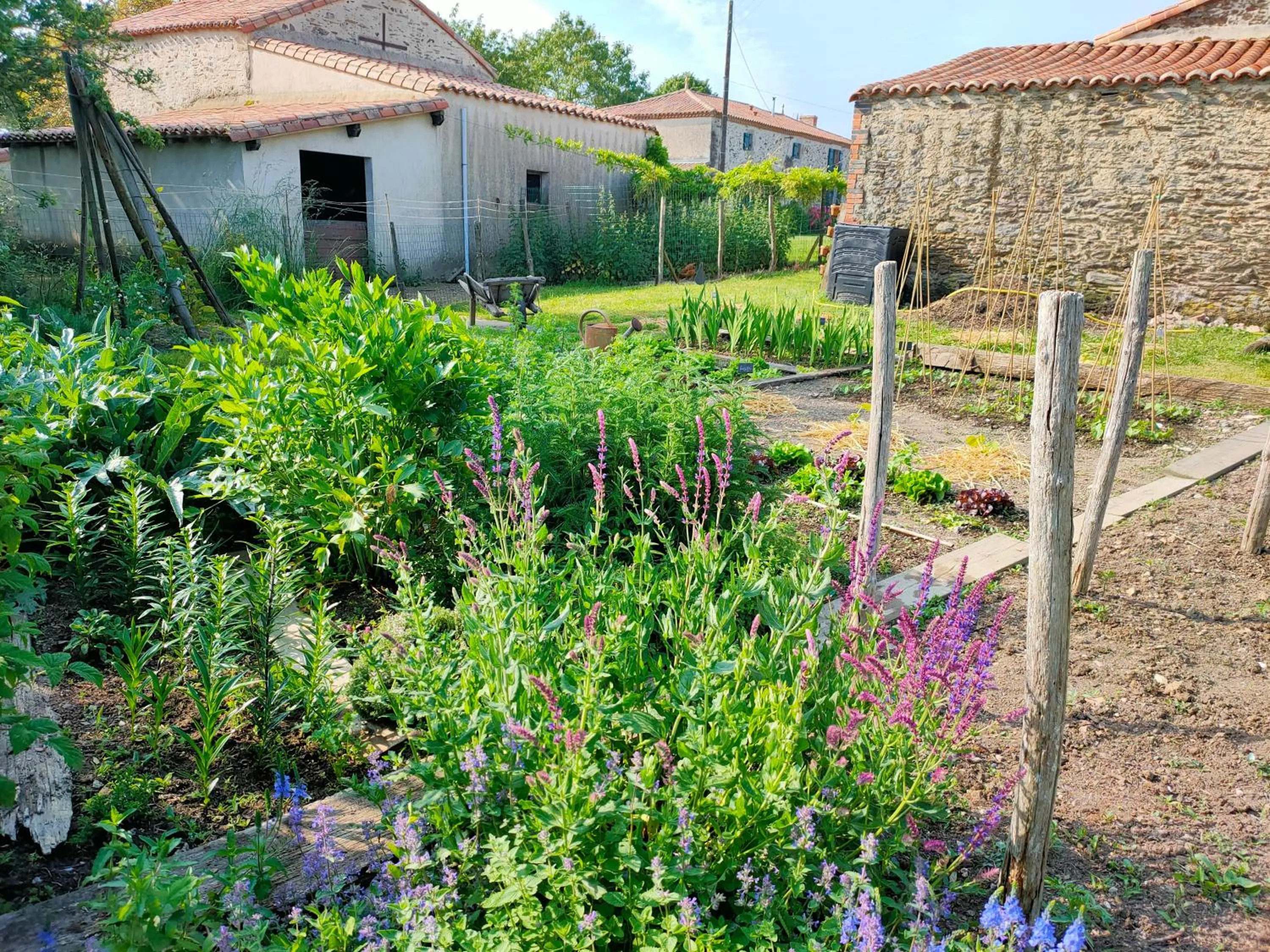 Garden in Le Vieux Logis de la Galocherie