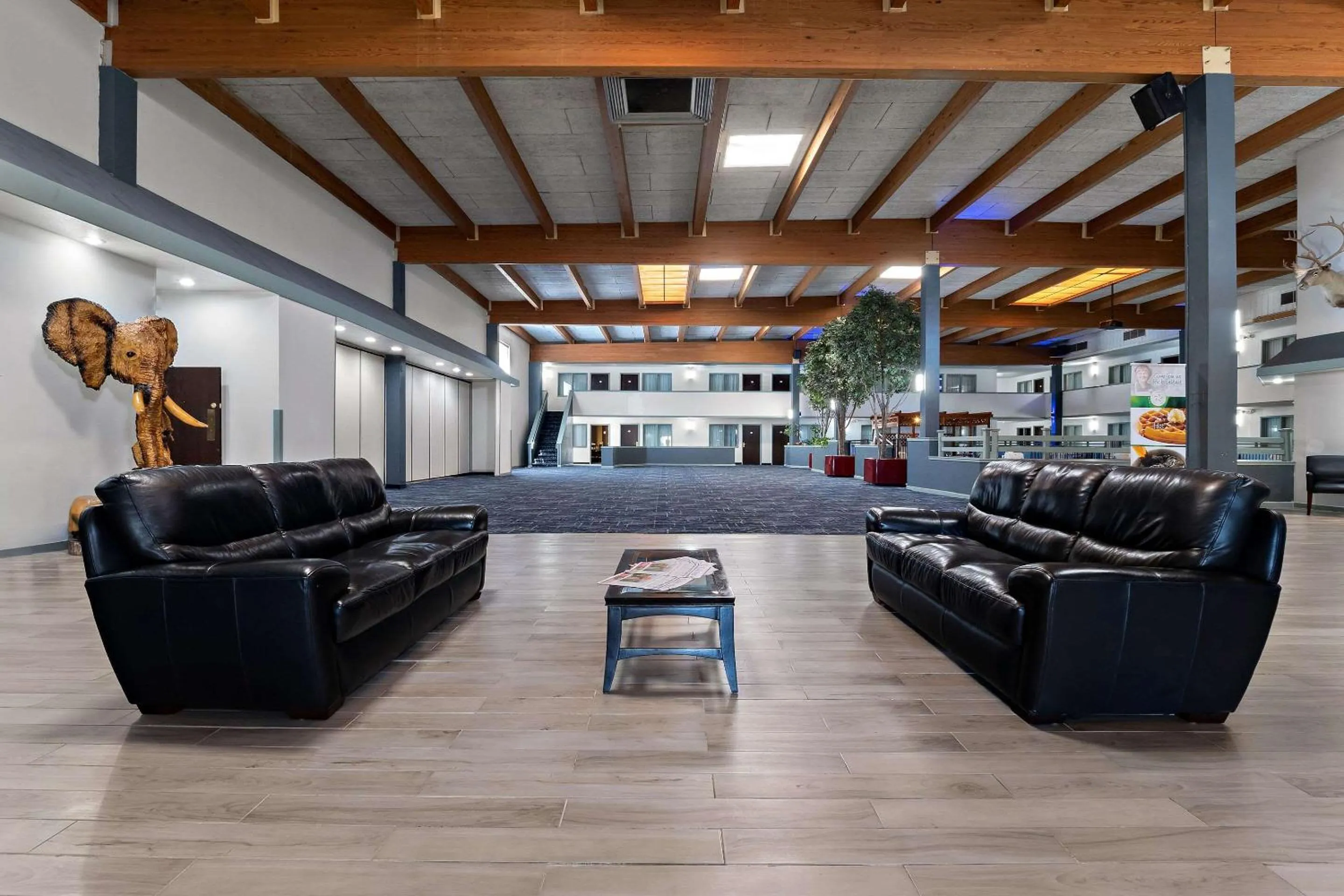 Lobby or reception in Quality Inn & Suites Craig