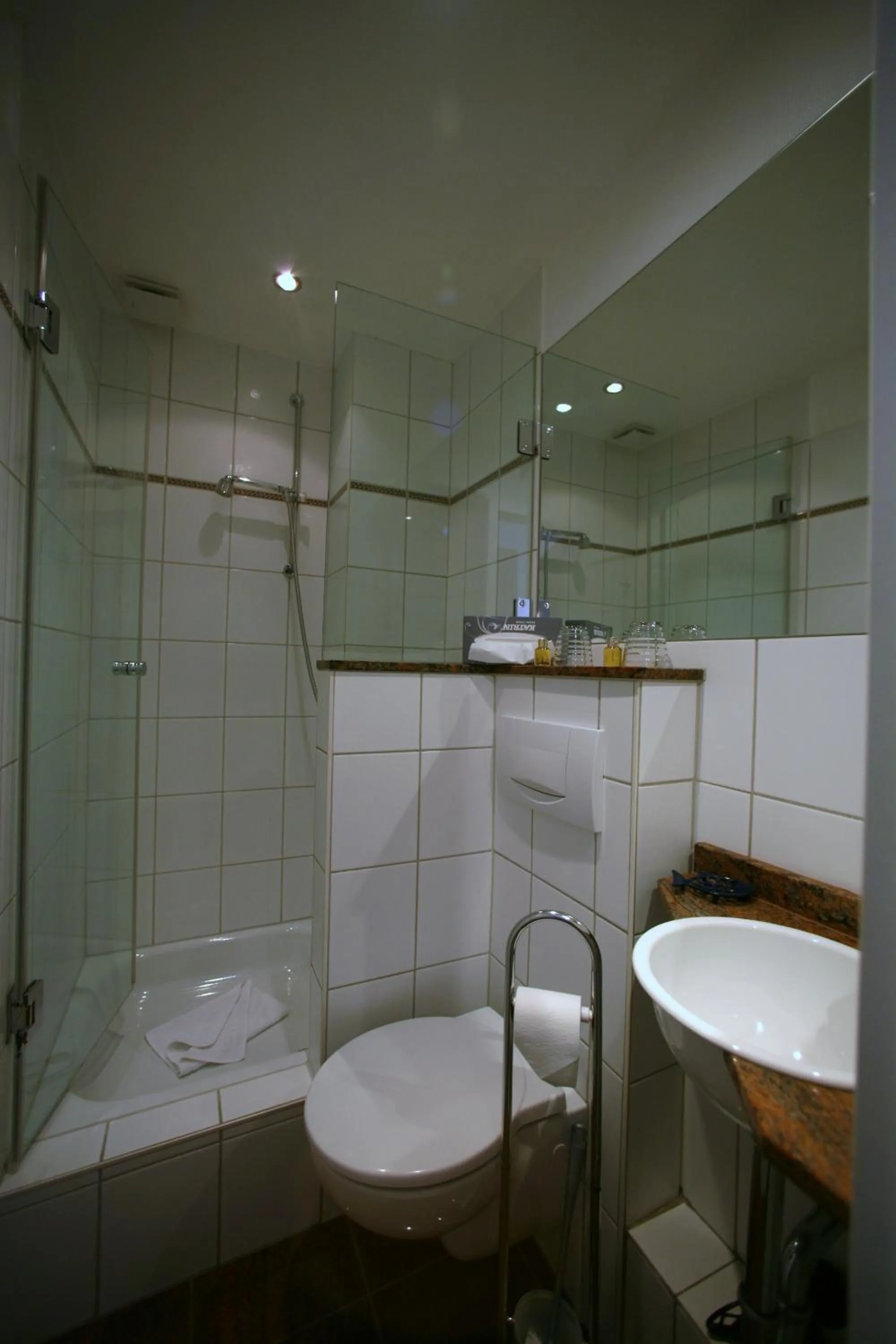 Bathroom in Hotel Gutenberg