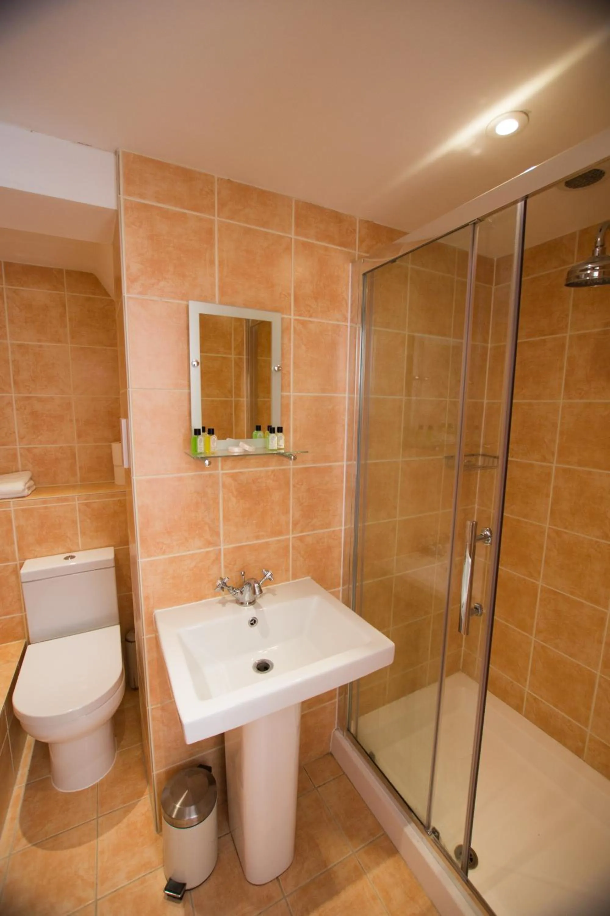 Bathroom in Star Inn