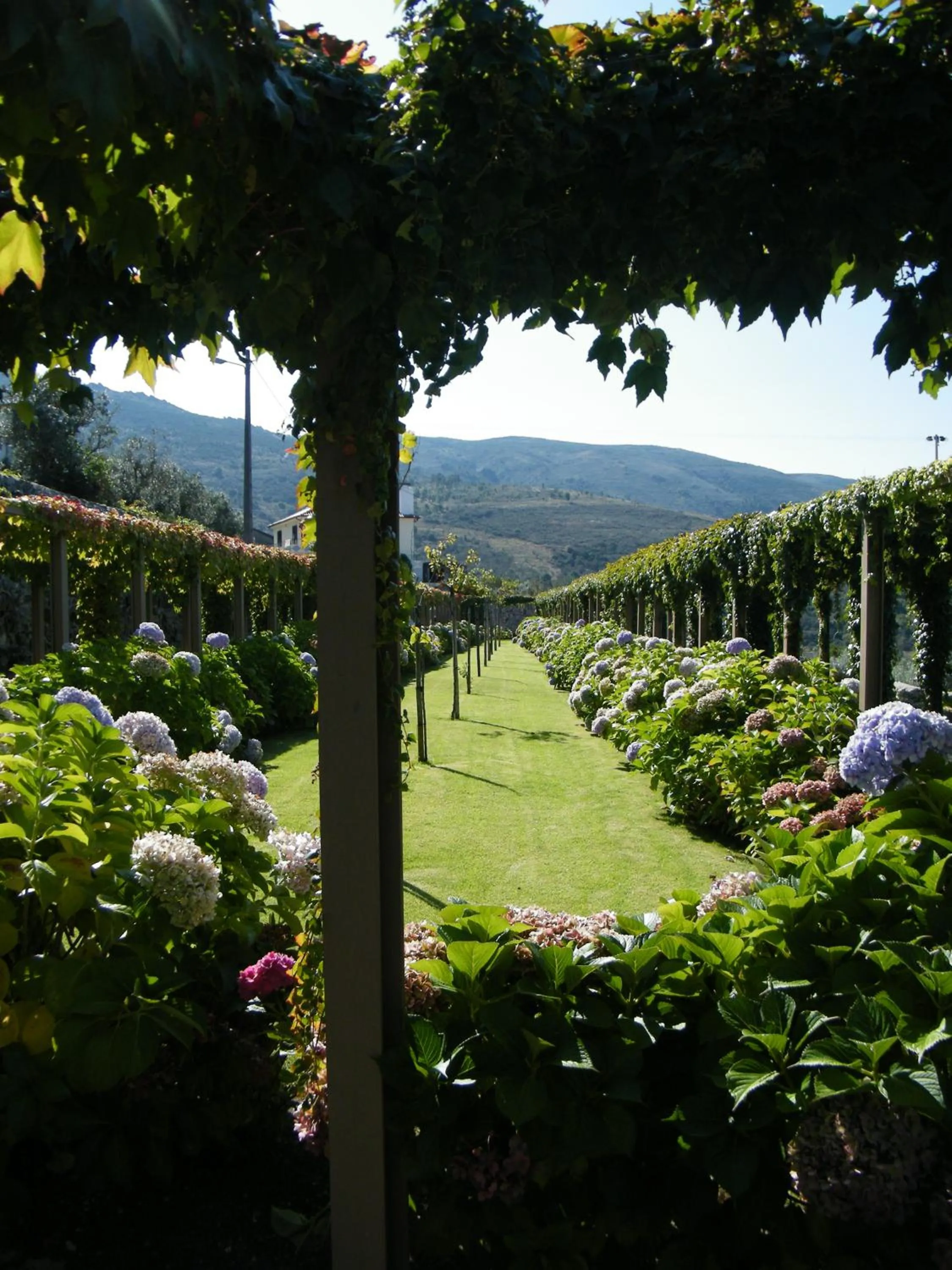 Garden in INATEL Linhares da Beira Hotel Rural