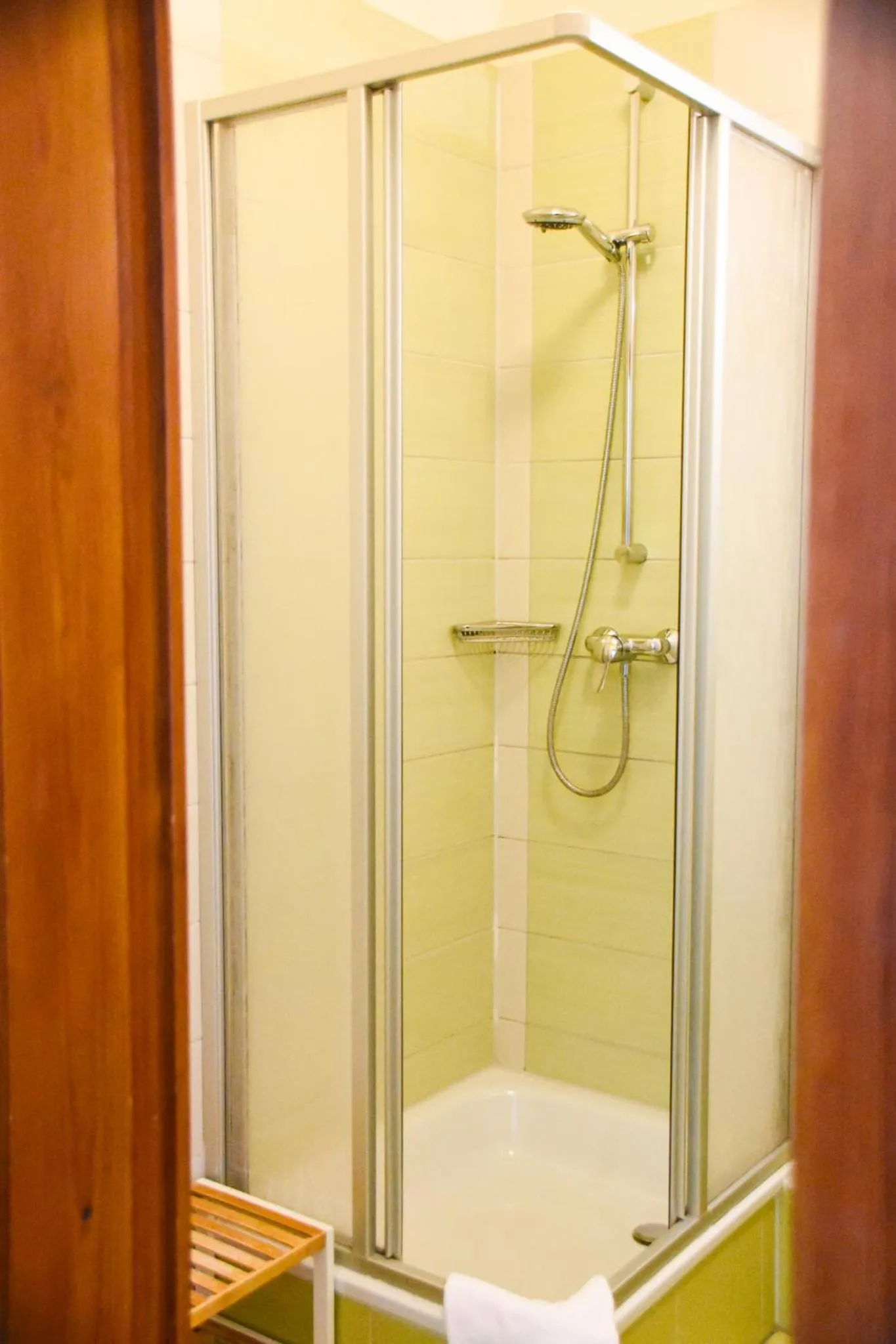 Shower in Parkhotel Zirndorf