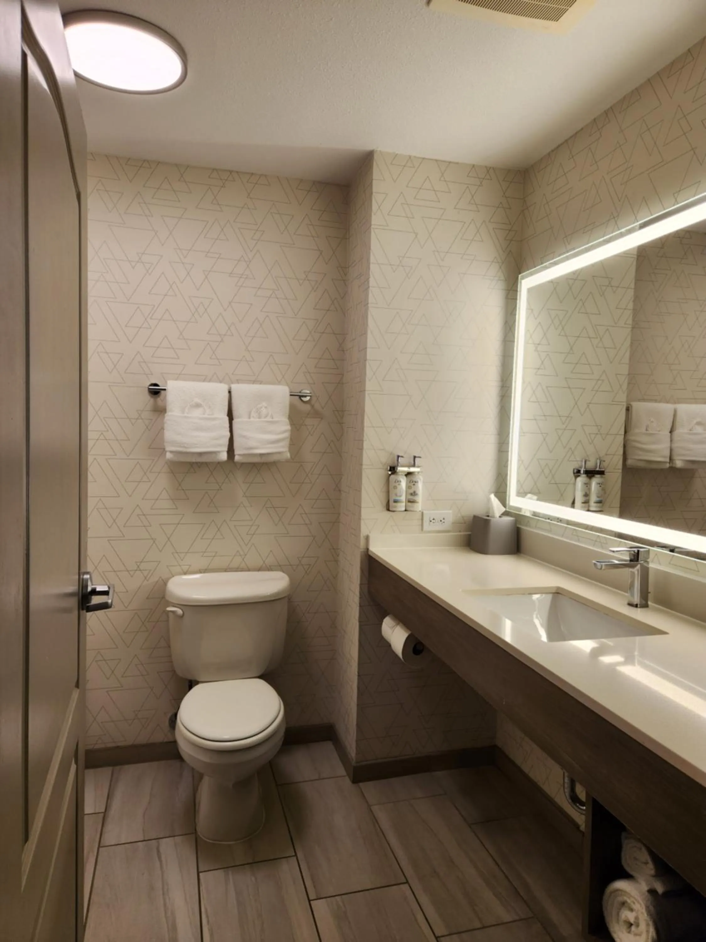 Toilet in Holiday Inn Express Hotel & Suites Crawfordsville by IHG