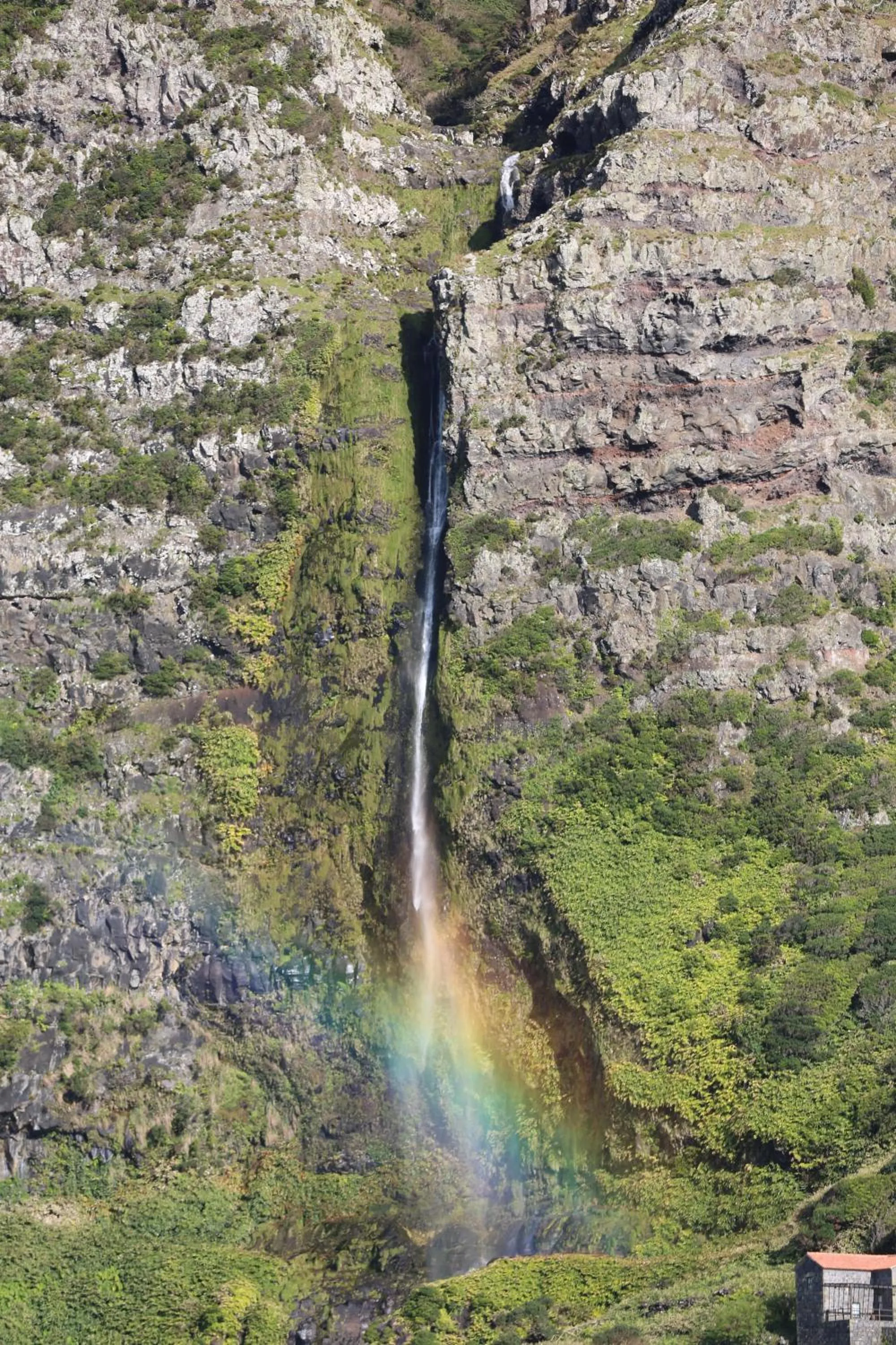 Natural landscape in INATEL Flores