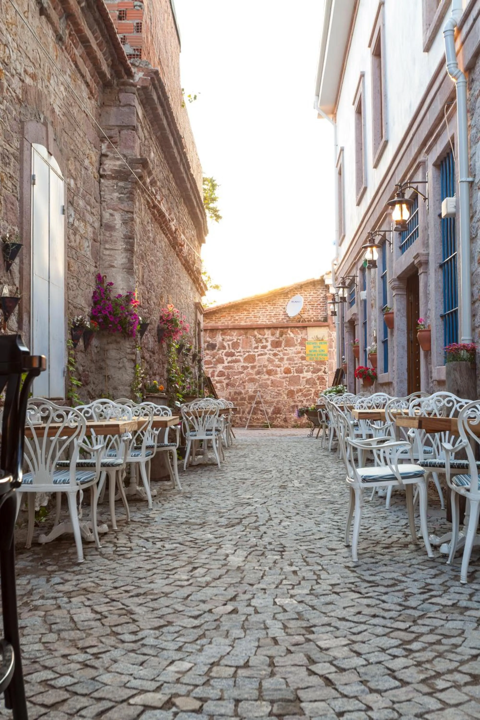 Summer in Orchis Hotel