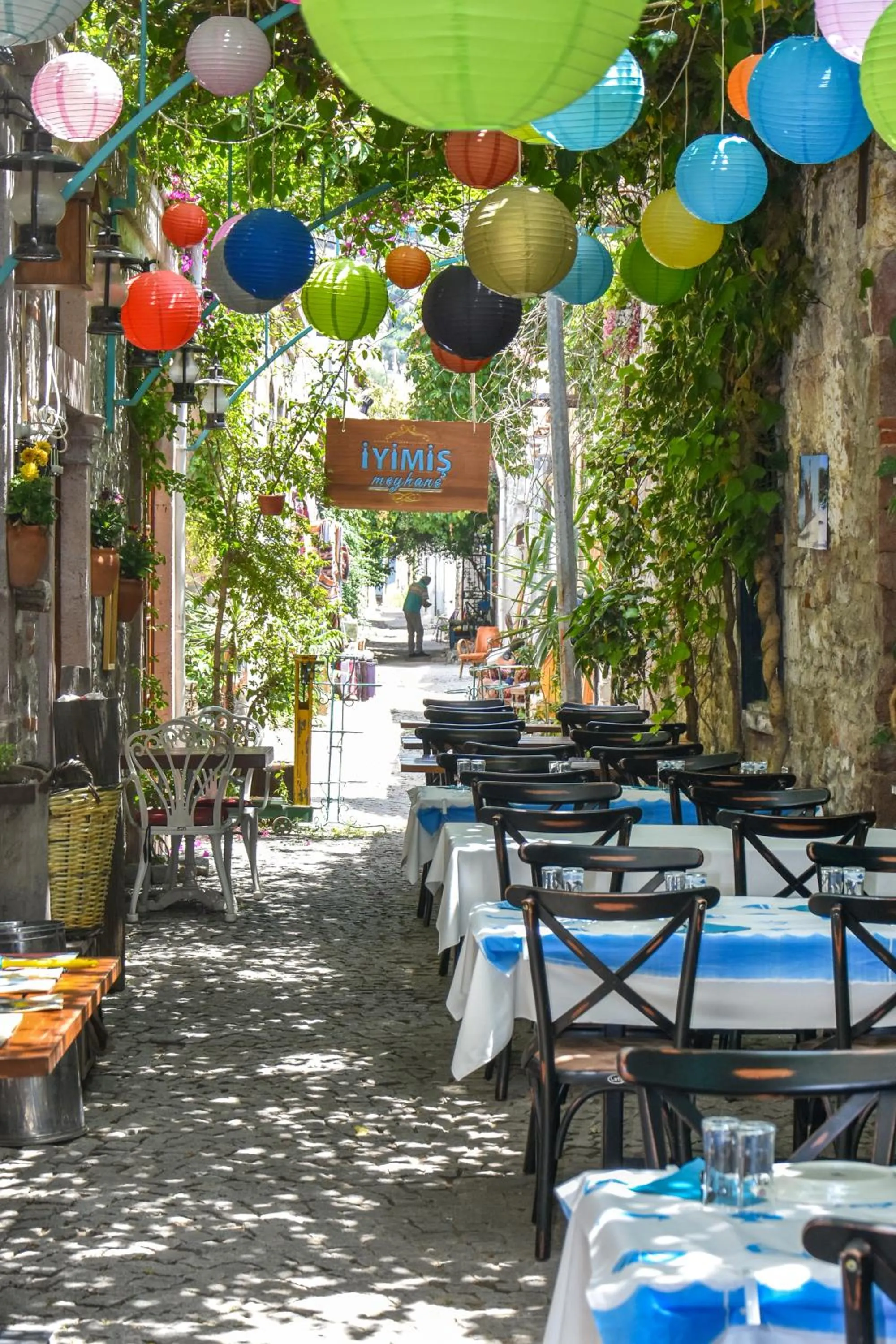 Restaurant/places to eat in Orchis Hotel