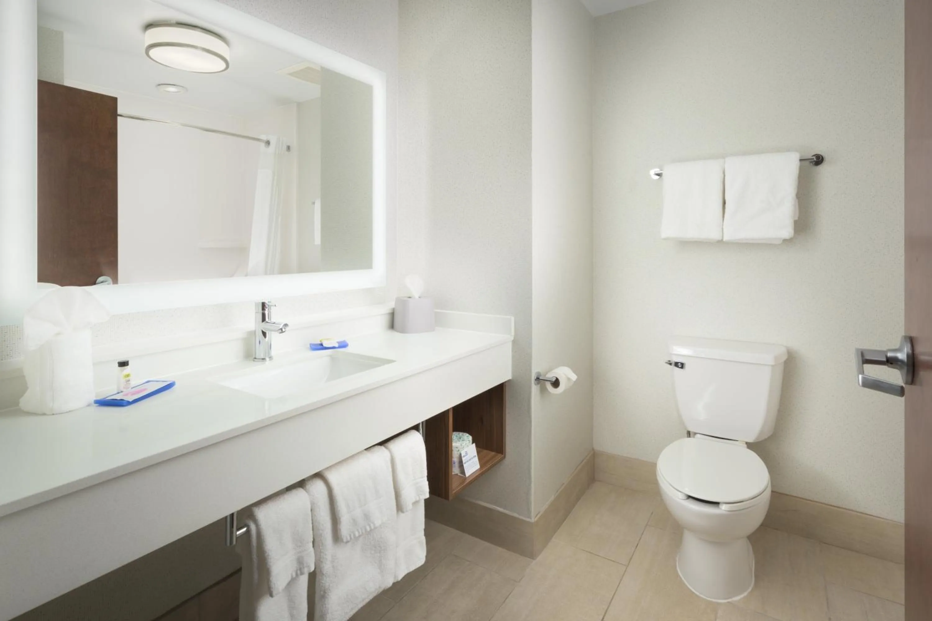 Bathroom in Holiday Inn Express Hotel & Suites Chattanooga Downtown by IHG