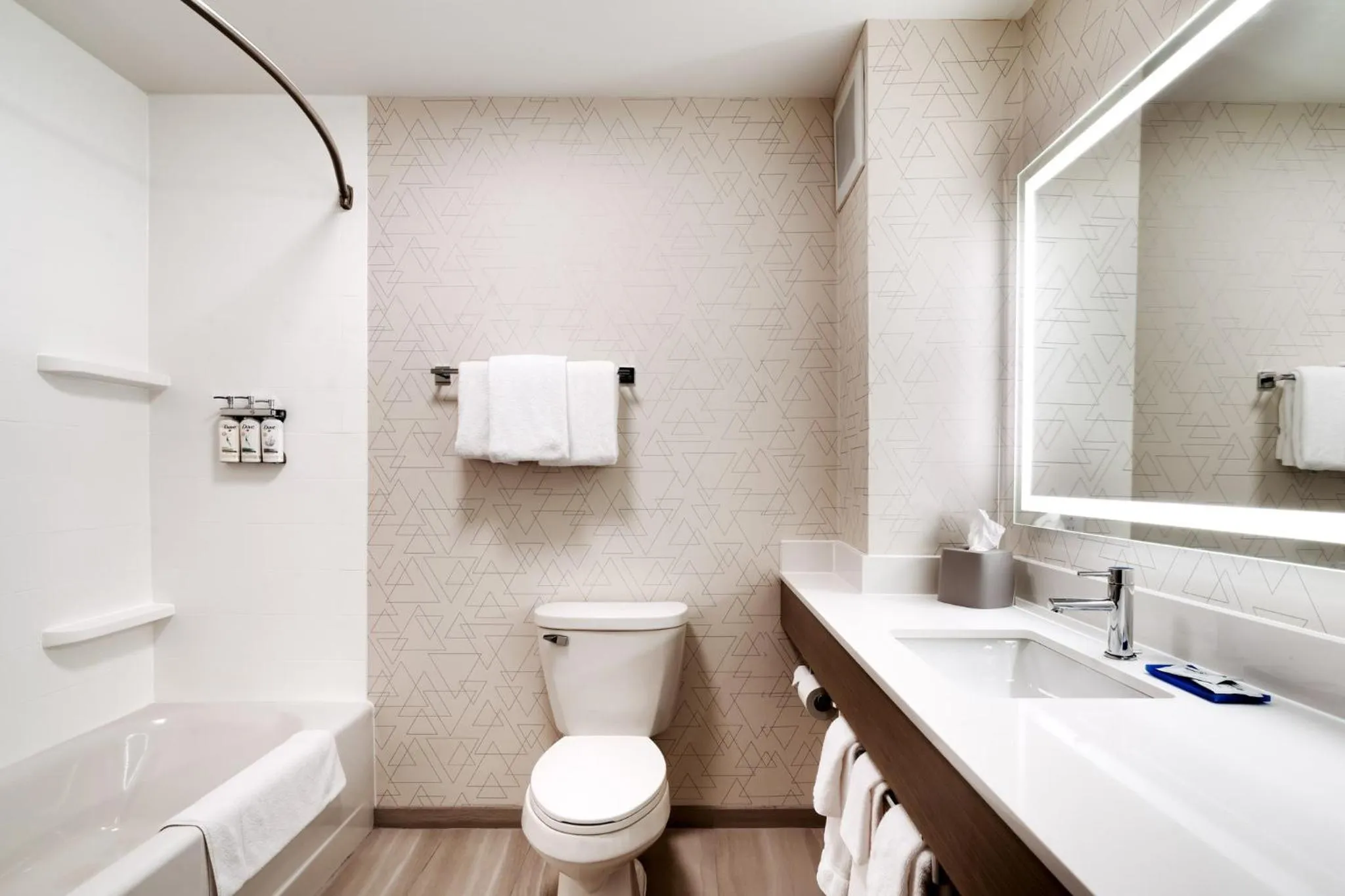 Bathroom in Holiday Inn Express Hotel & Suites Cheyenne by IHG