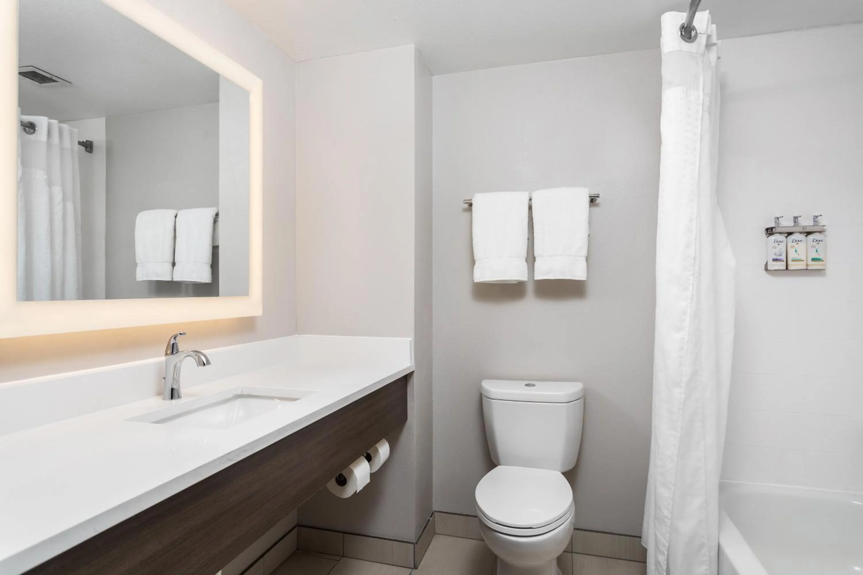 Bathroom in Holiday Inn Express Hotel & Suites Chattanooga-Lookout Mountain by IHG
