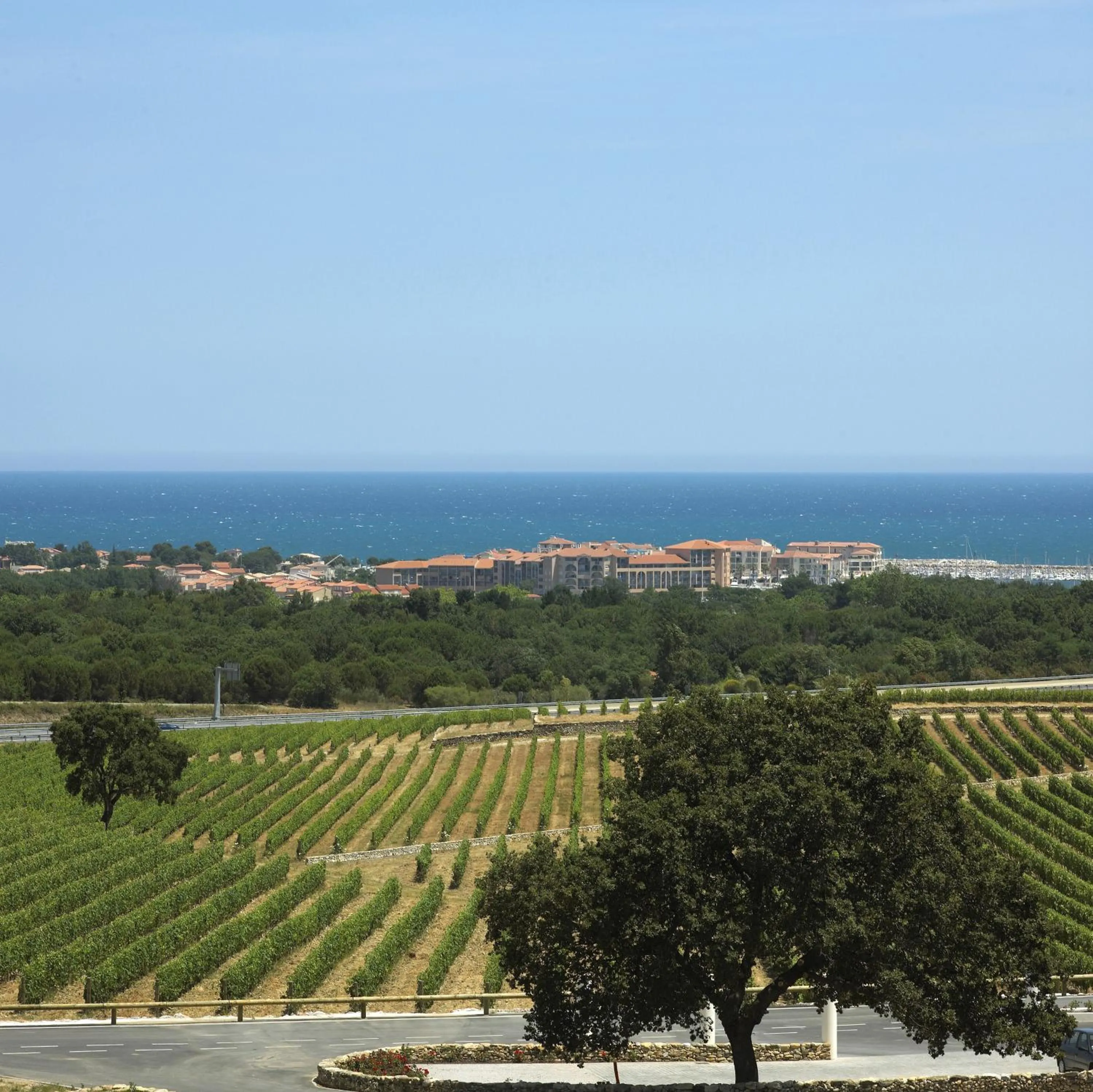 View (from property/room) in Résidence Mer & Golf Port Argelès