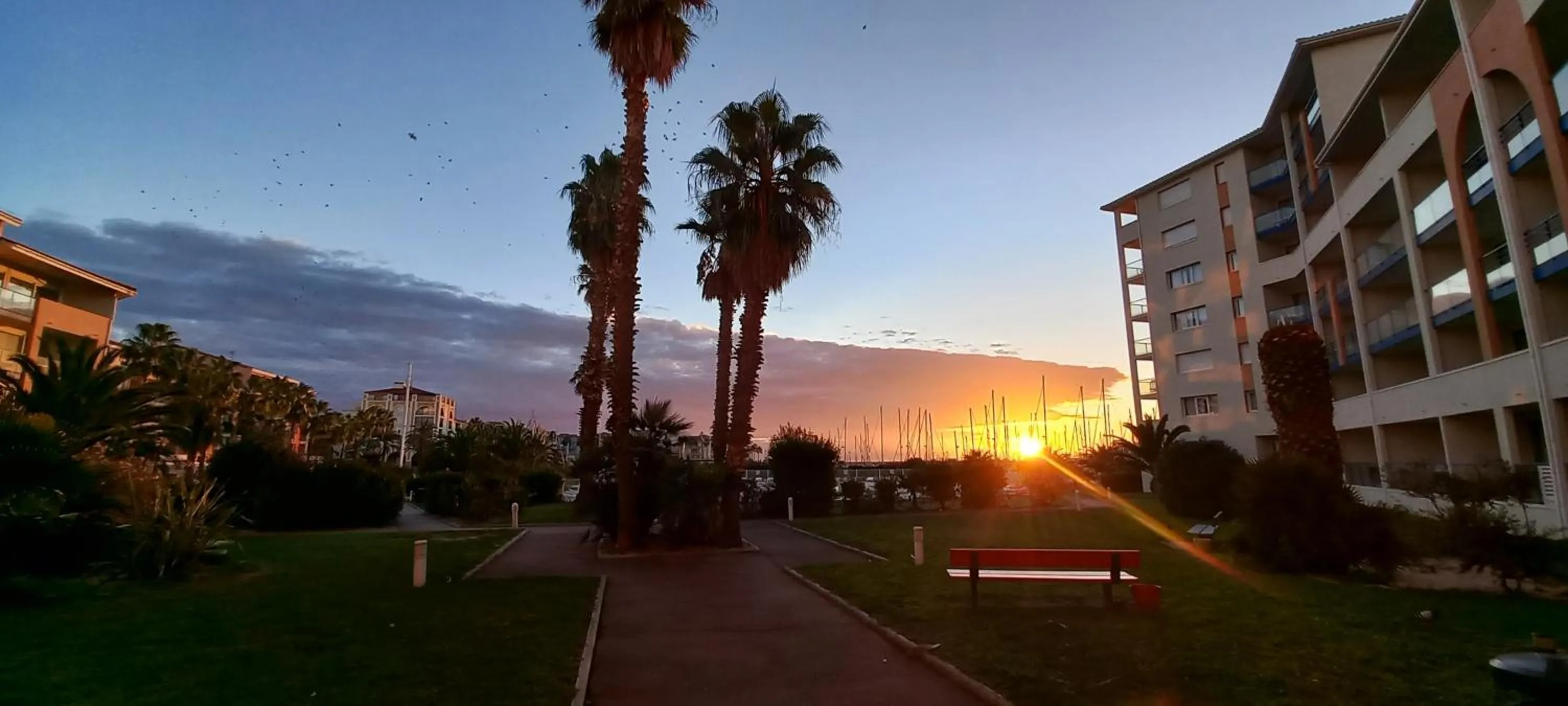 Garden in Résidence Mer & Golf Port Argelès