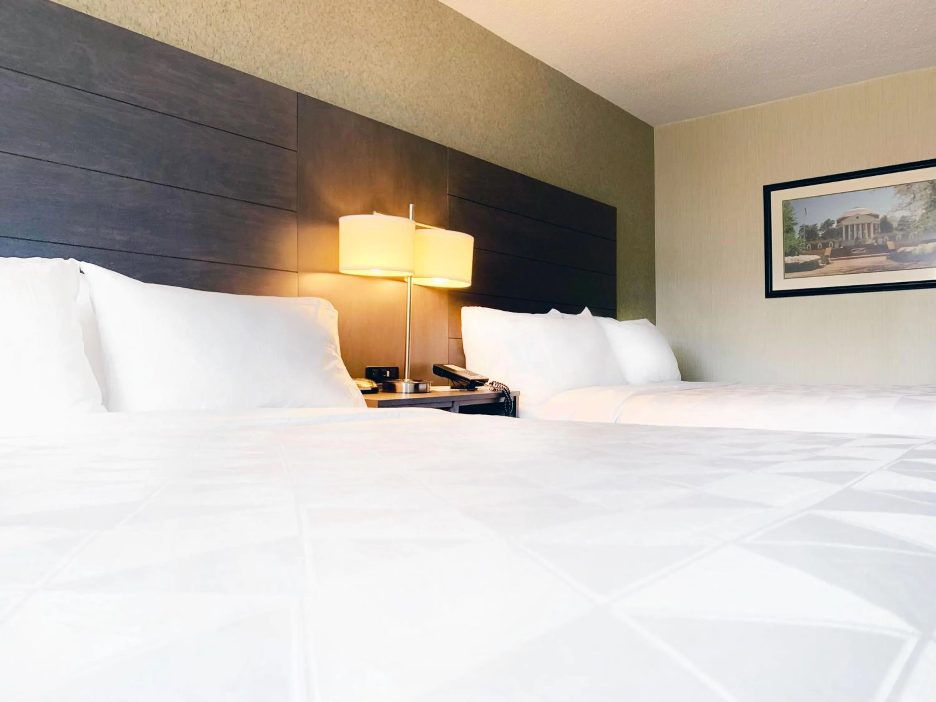 Bedroom, Bed in Holiday Inn University Area Charlottesville by IHG