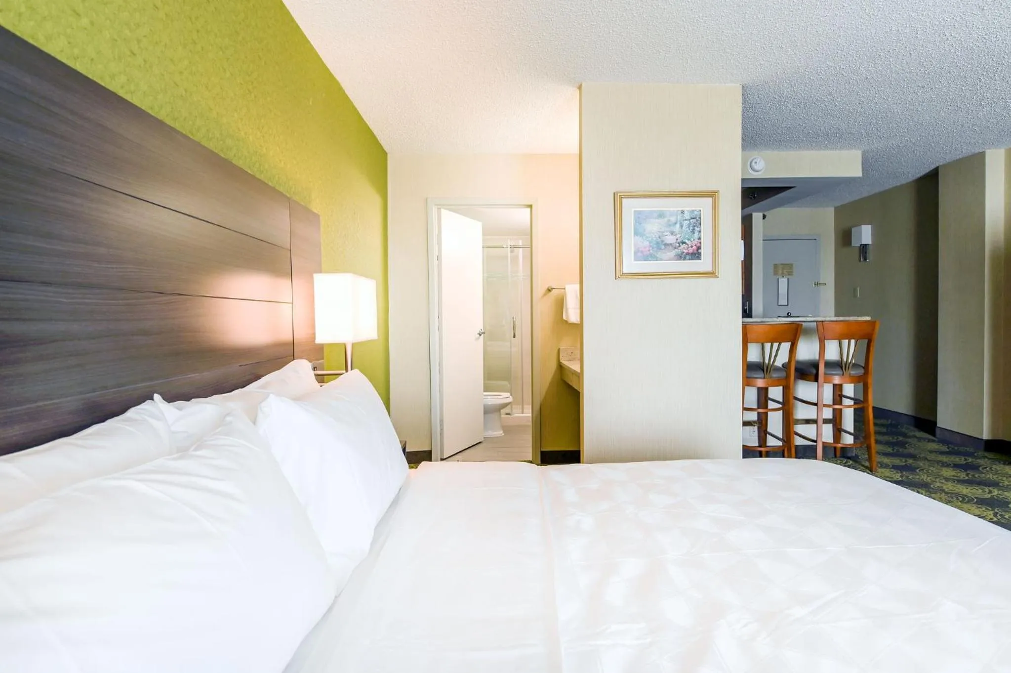 Photo of the whole room, Bed in Holiday Inn University Area Charlottesville by IHG