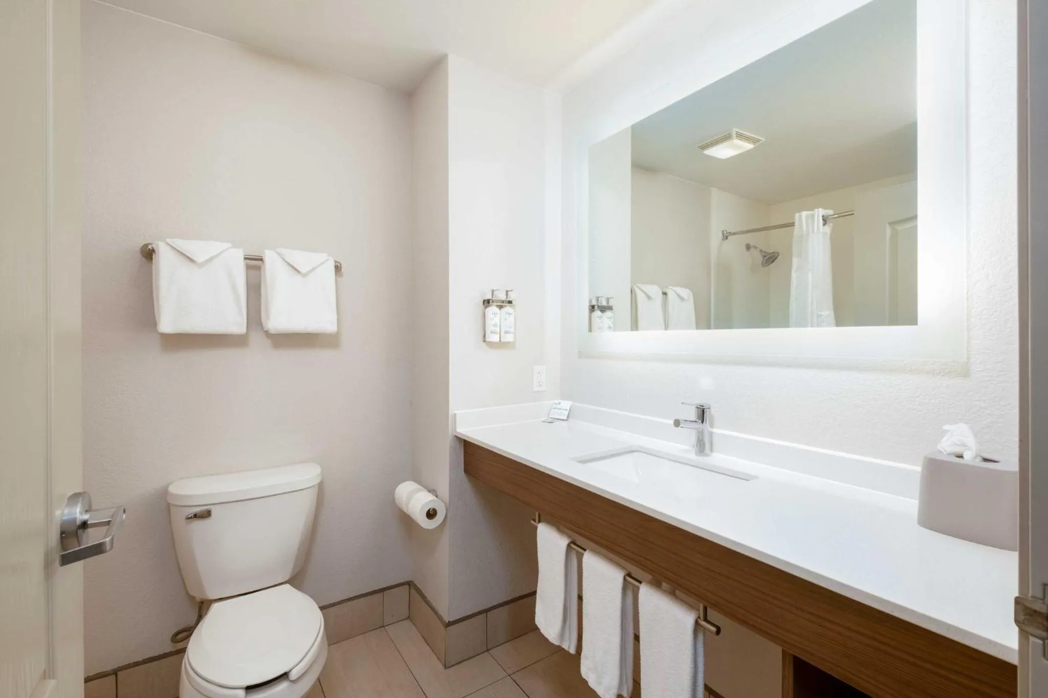 Bathroom in Holiday Inn Express Hotel & Suites Carlsbad by IHG