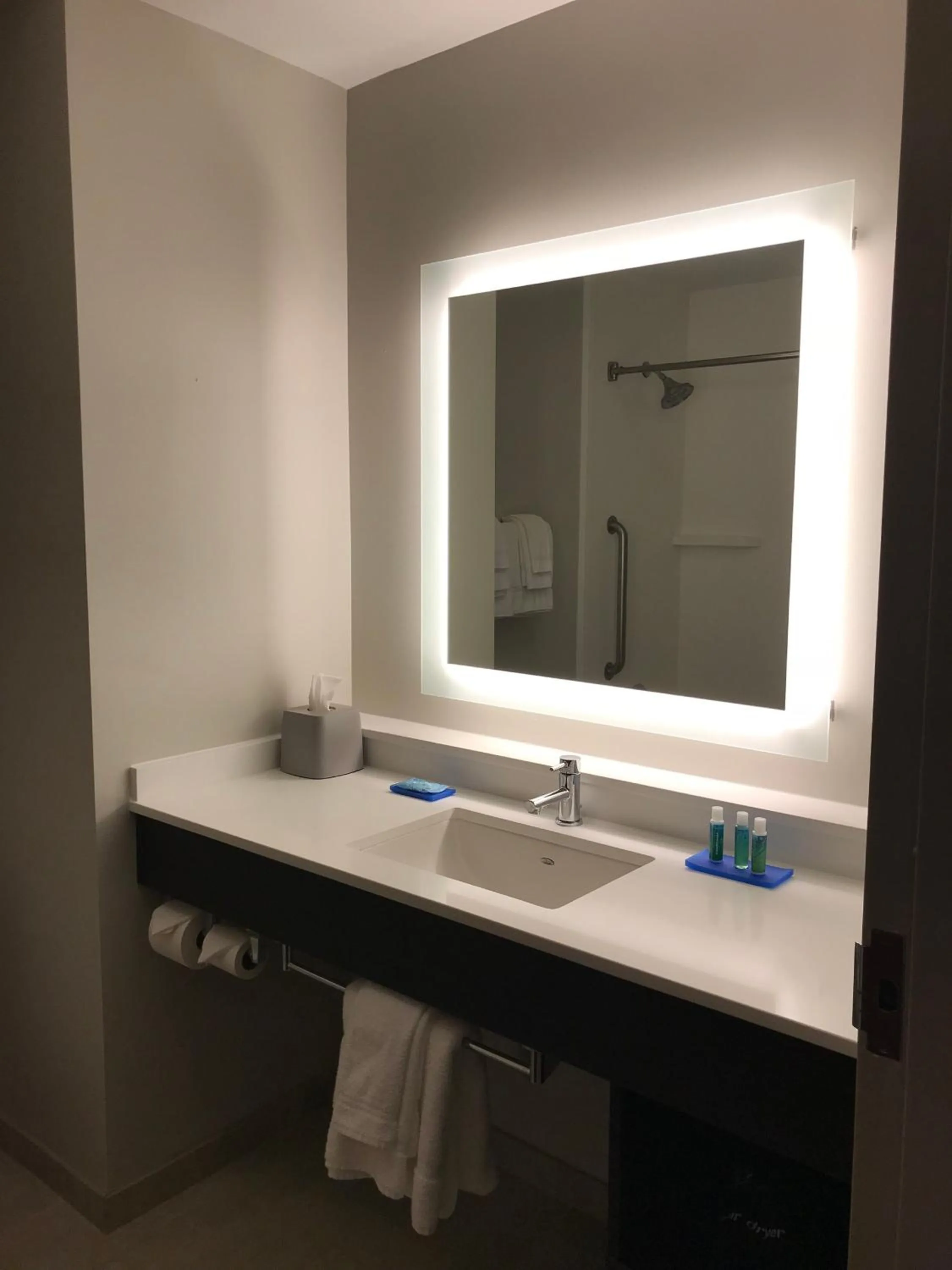 Bathroom in Holiday Inn Express Hotel & Suites Canton by IHG