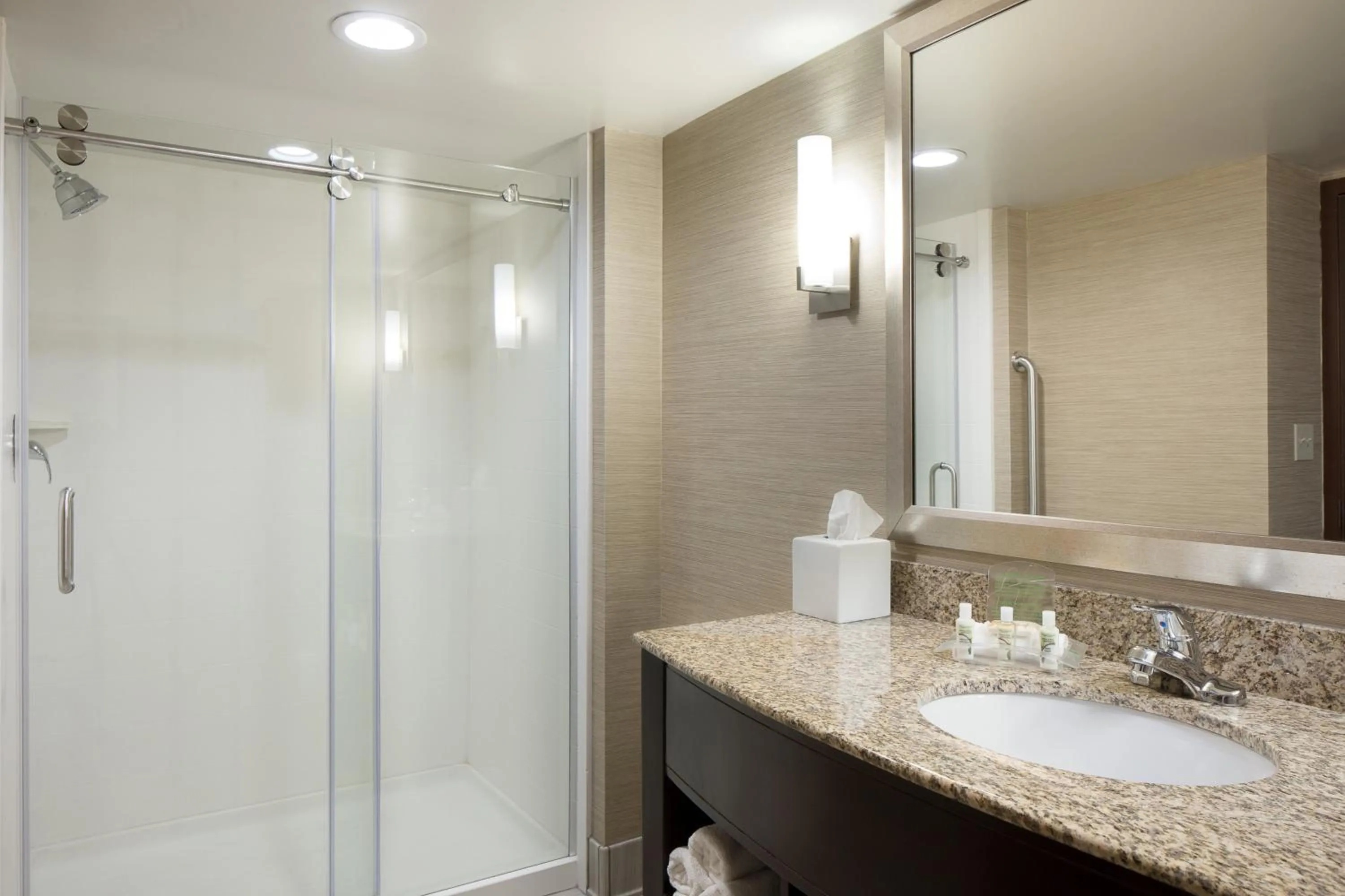 Bathroom in Holiday Inn Dubuque/Galena by IHG