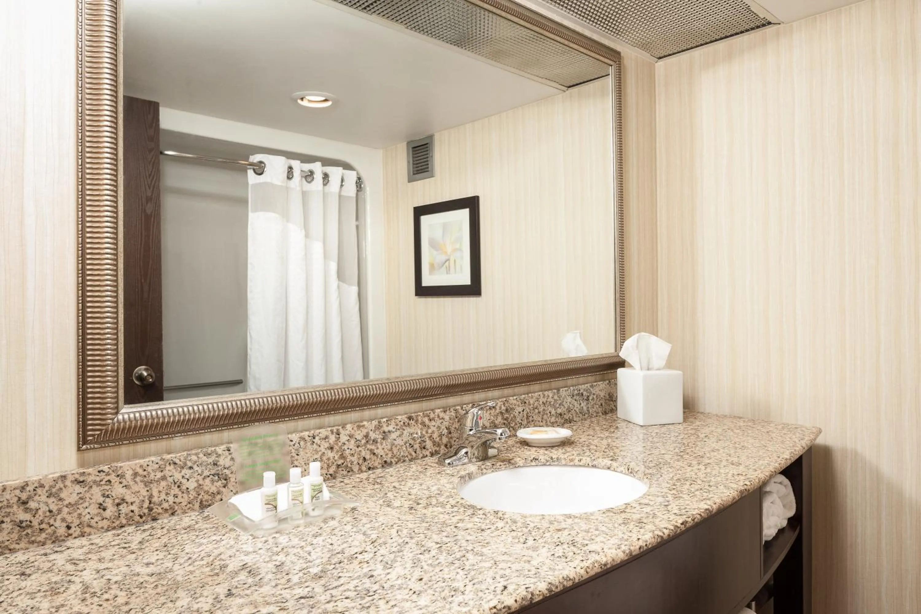 Bathroom in Holiday Inn Dubuque/Galena by IHG