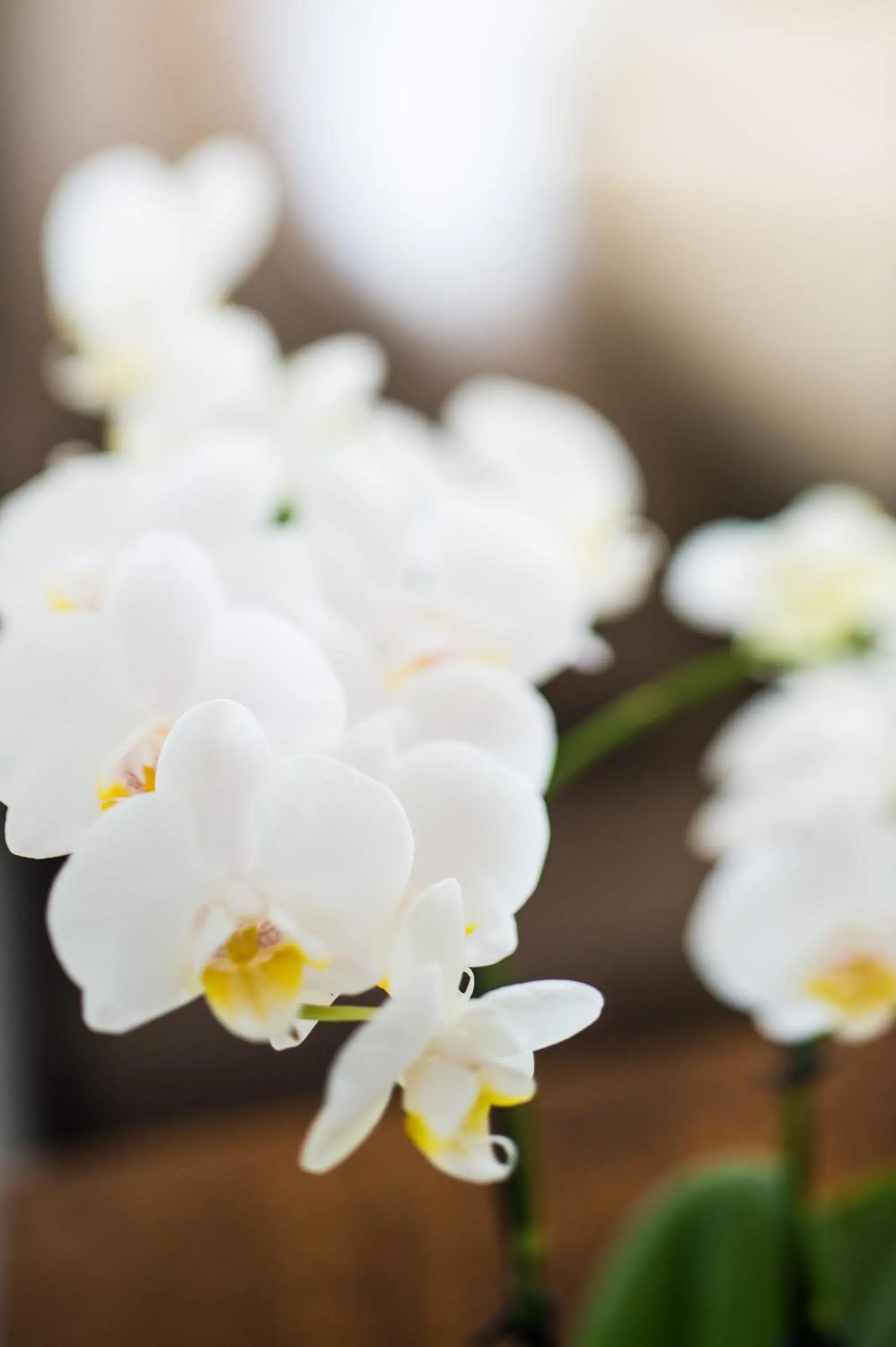 One-Bedroom Apartment with Spa Bath and Garden View in at Marina Shores One-Bedroom Apartment with Spa Bath and Garden View in at Marina Shores