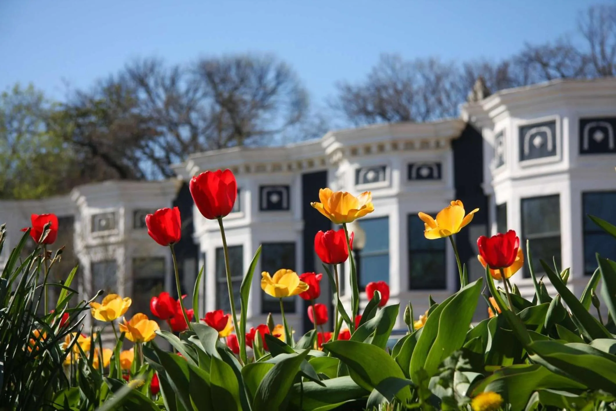 Area and facilities in Hyatt Place Washington DC/Georgetown/West End