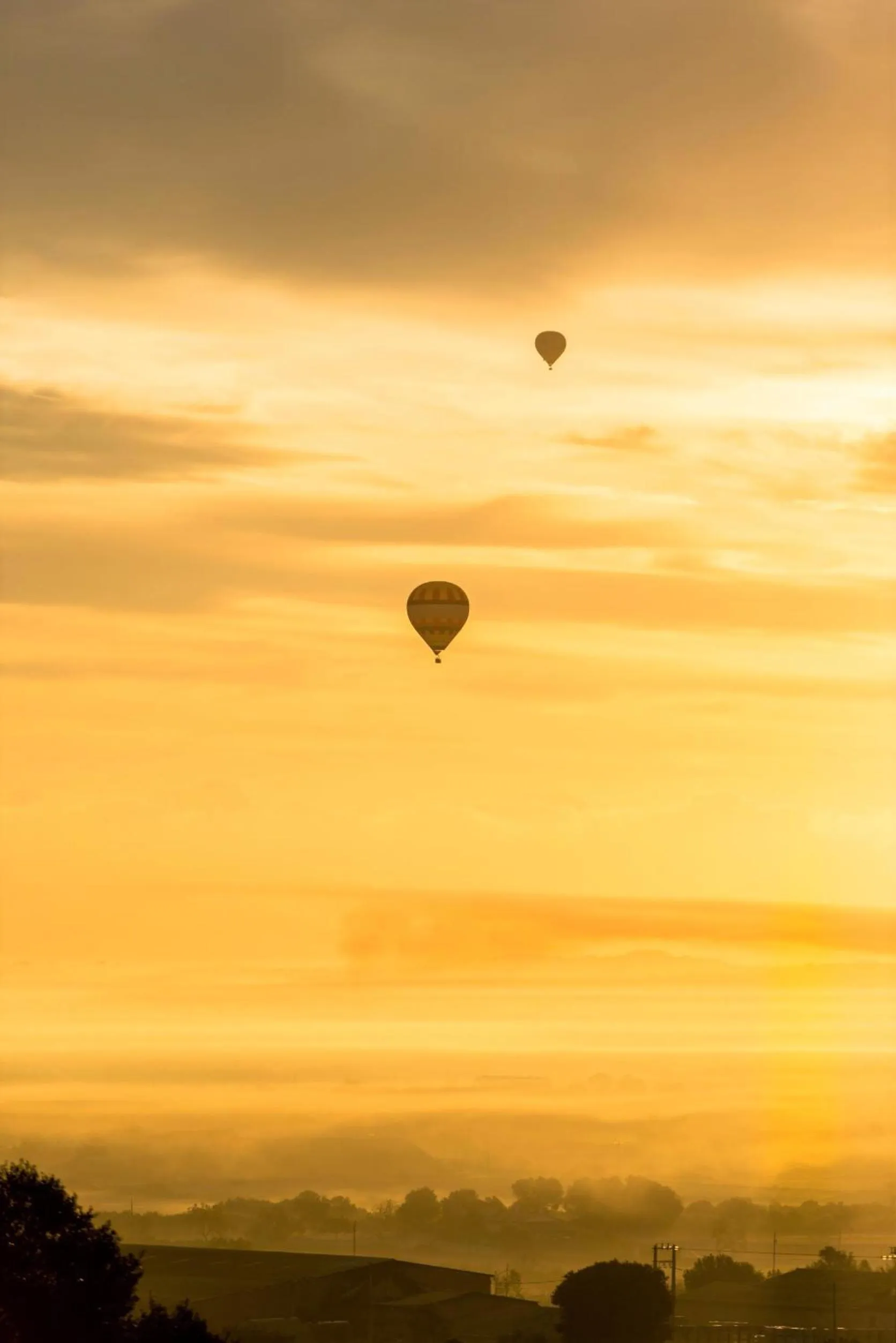 Activities in CAP VERMELL GRAND HOTEL