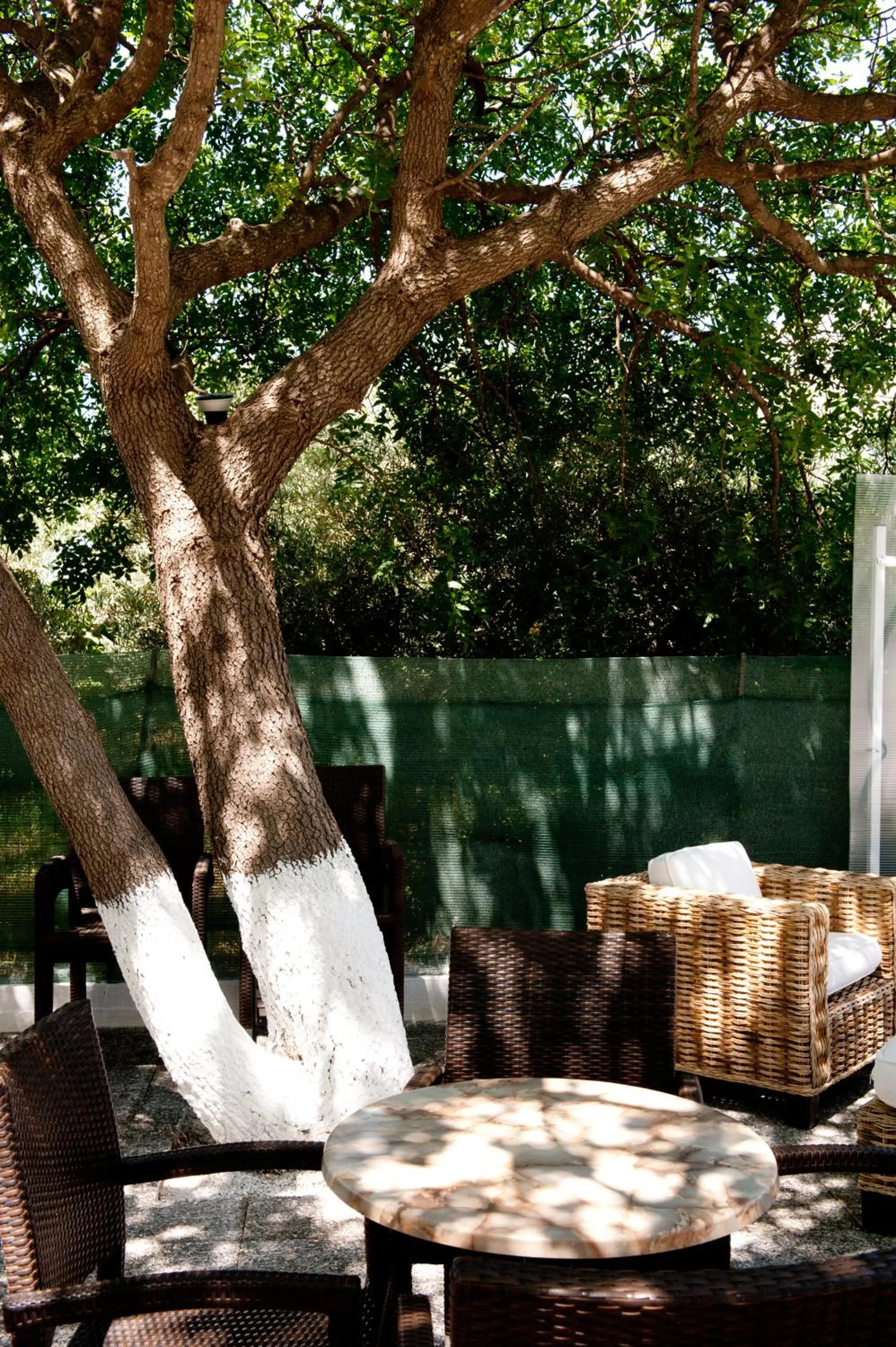 Lounge or bar in Aphrodite Samos Suites