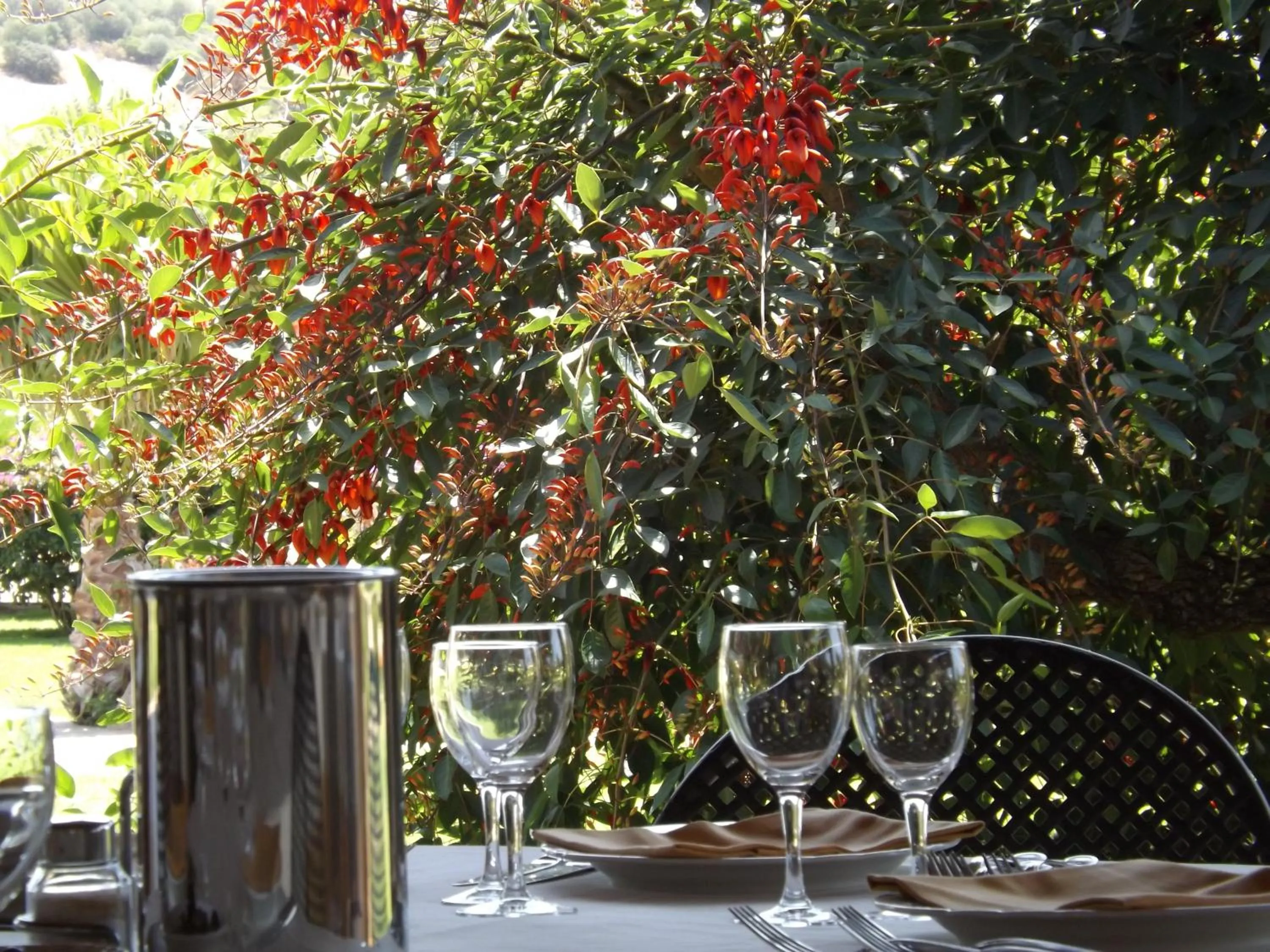 Restaurant/places to eat in Le Anfore Hotel