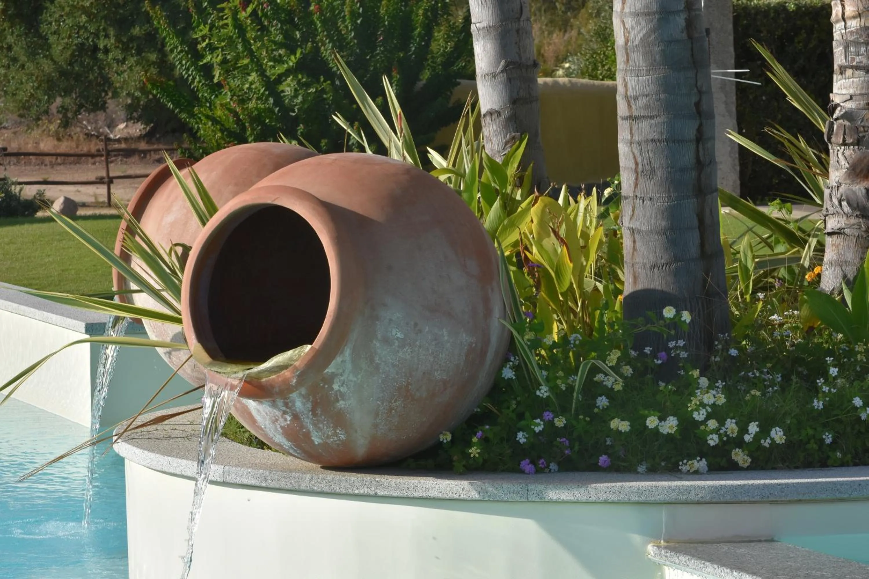 Garden in Le Anfore Hotel