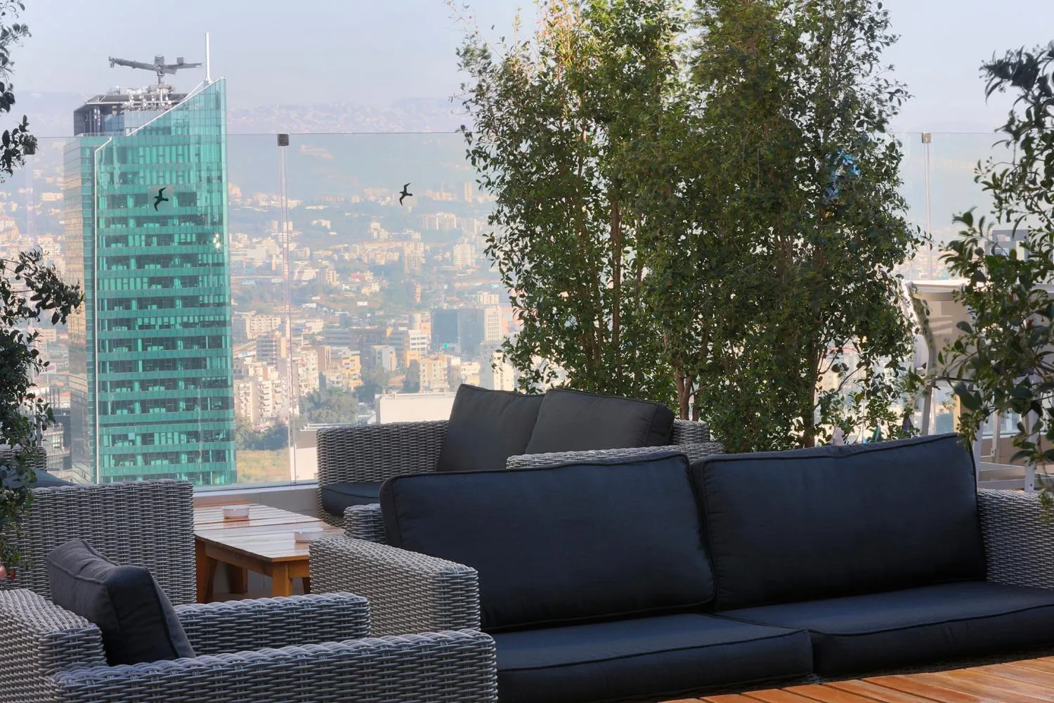 Garden in Citea Apart Hotel