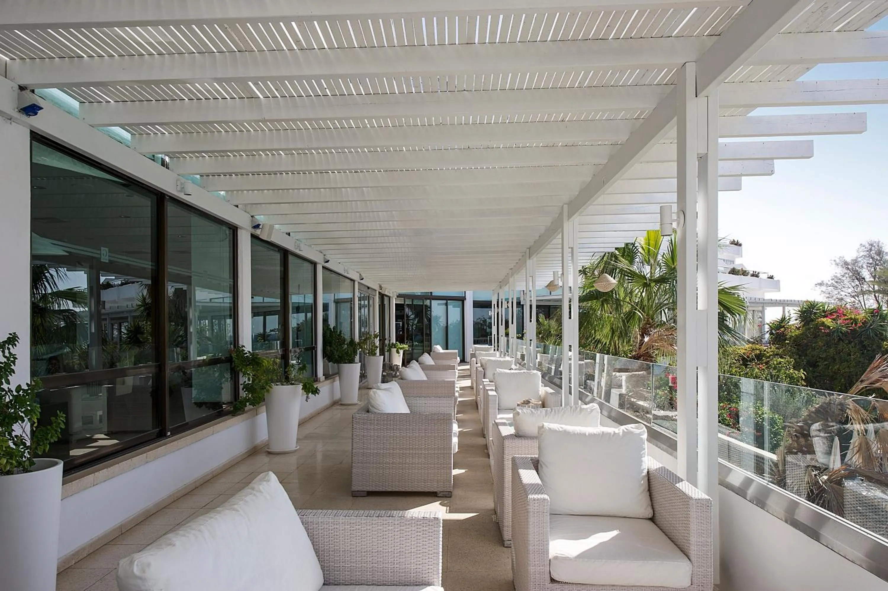 Balcony/Terrace in Grecian Sands Hotel