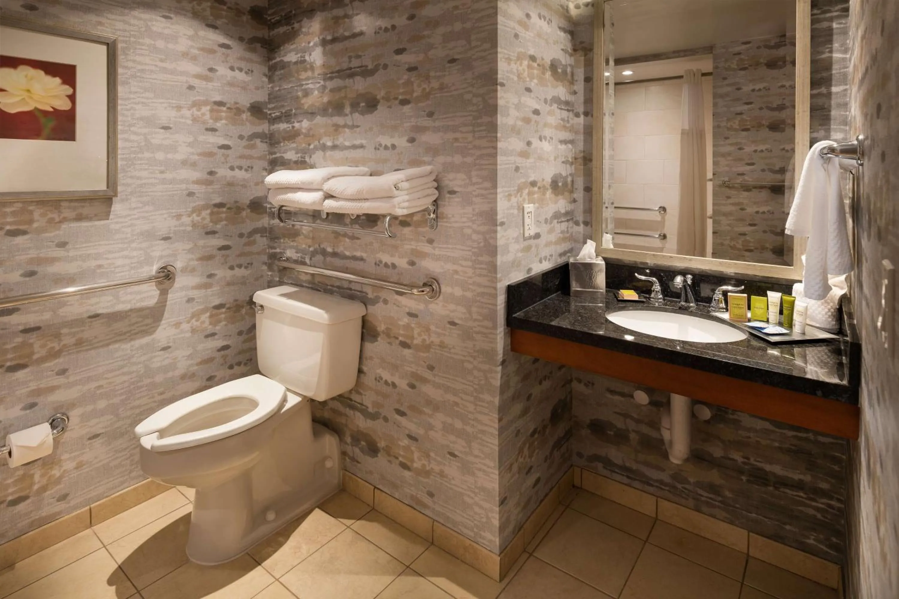 Bathroom in Hilton Lexington Downtown