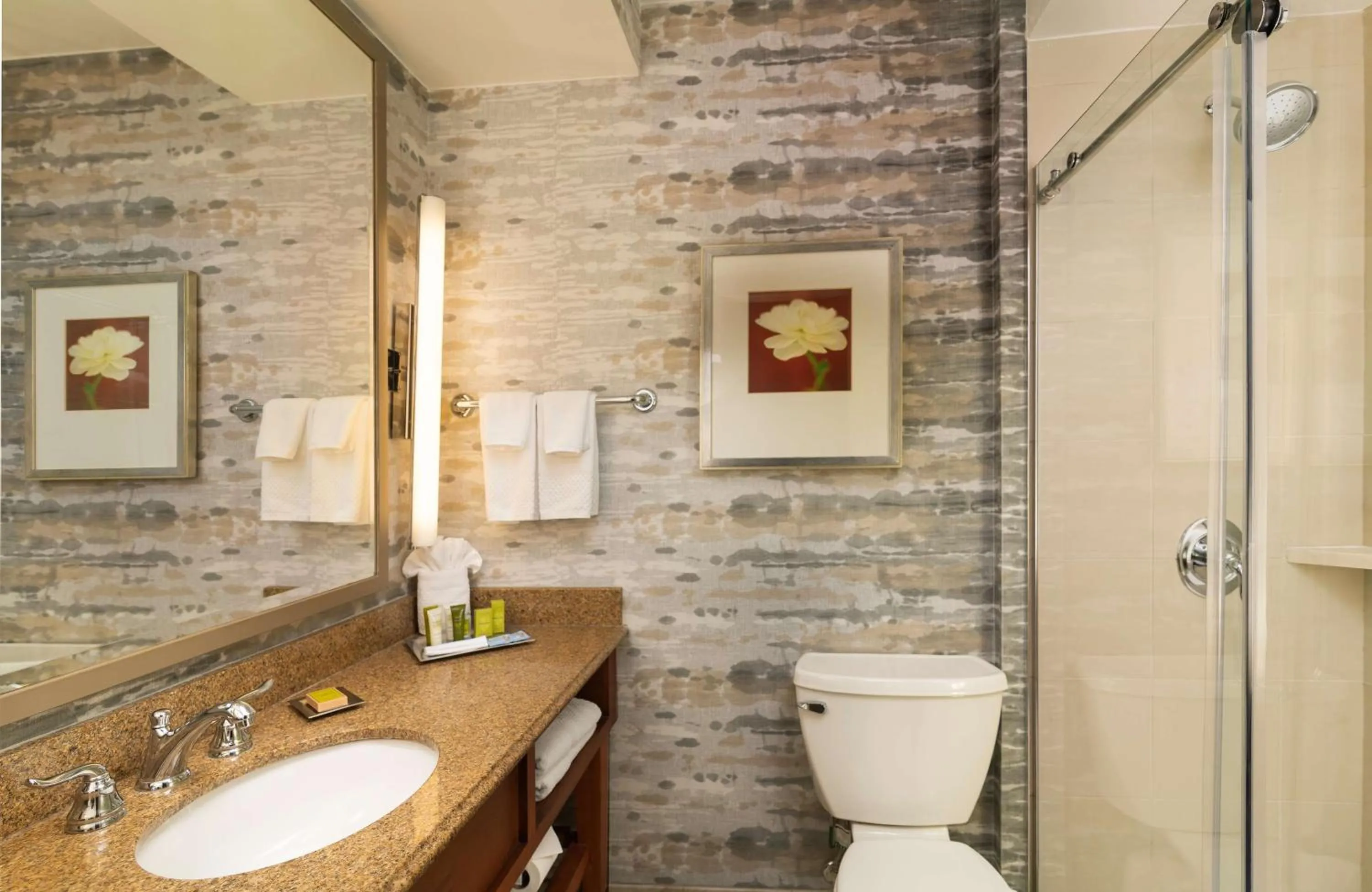 Bathroom in Hilton Lexington Downtown