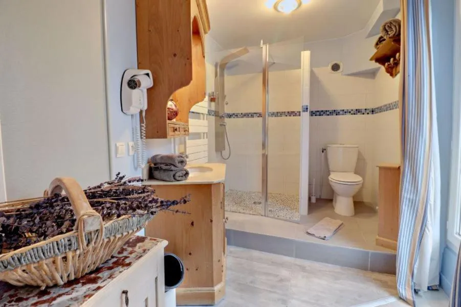 Shower in Logis Hôtel De La Chapelle