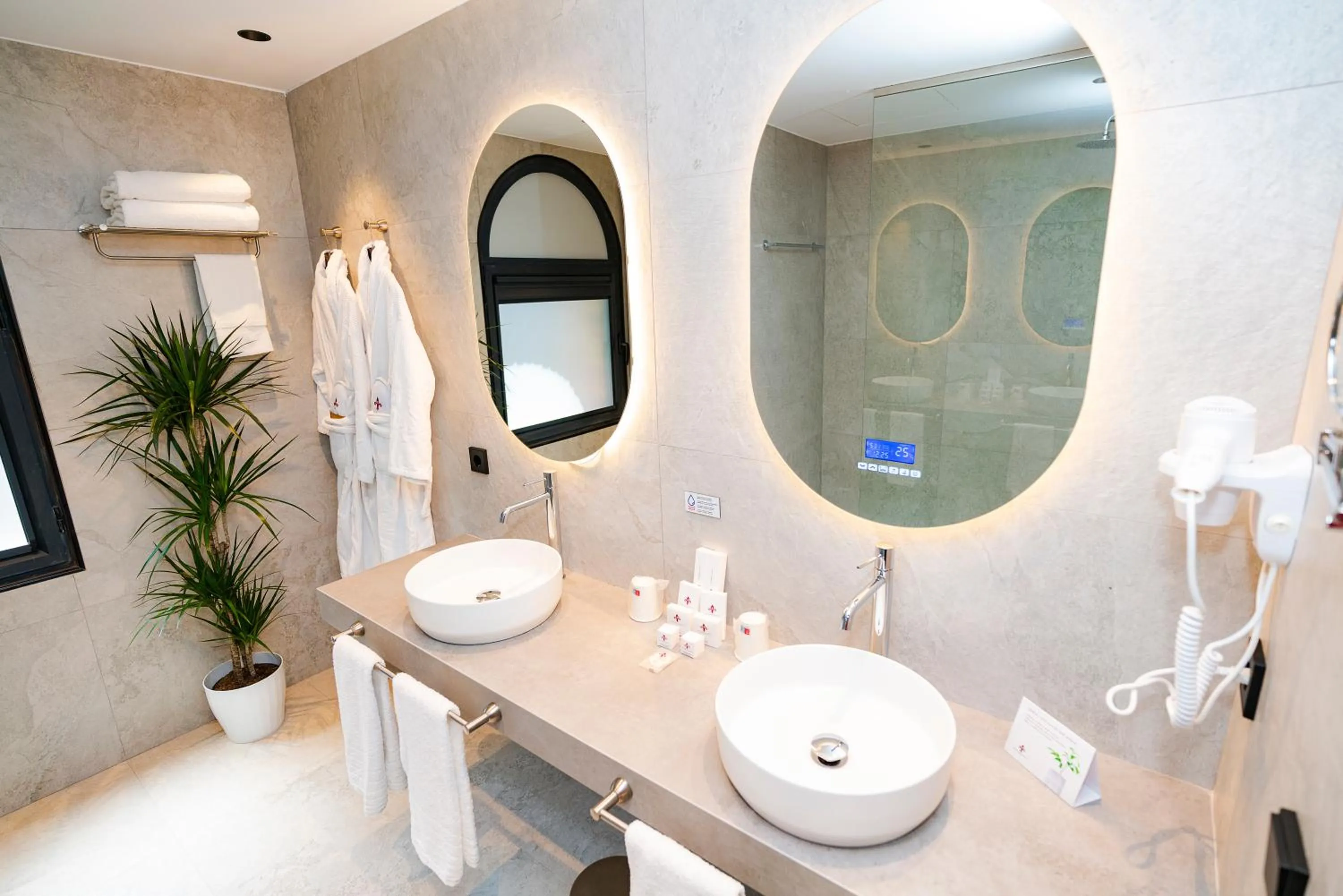 Toilet in Hotel Spa Termes Carlemany