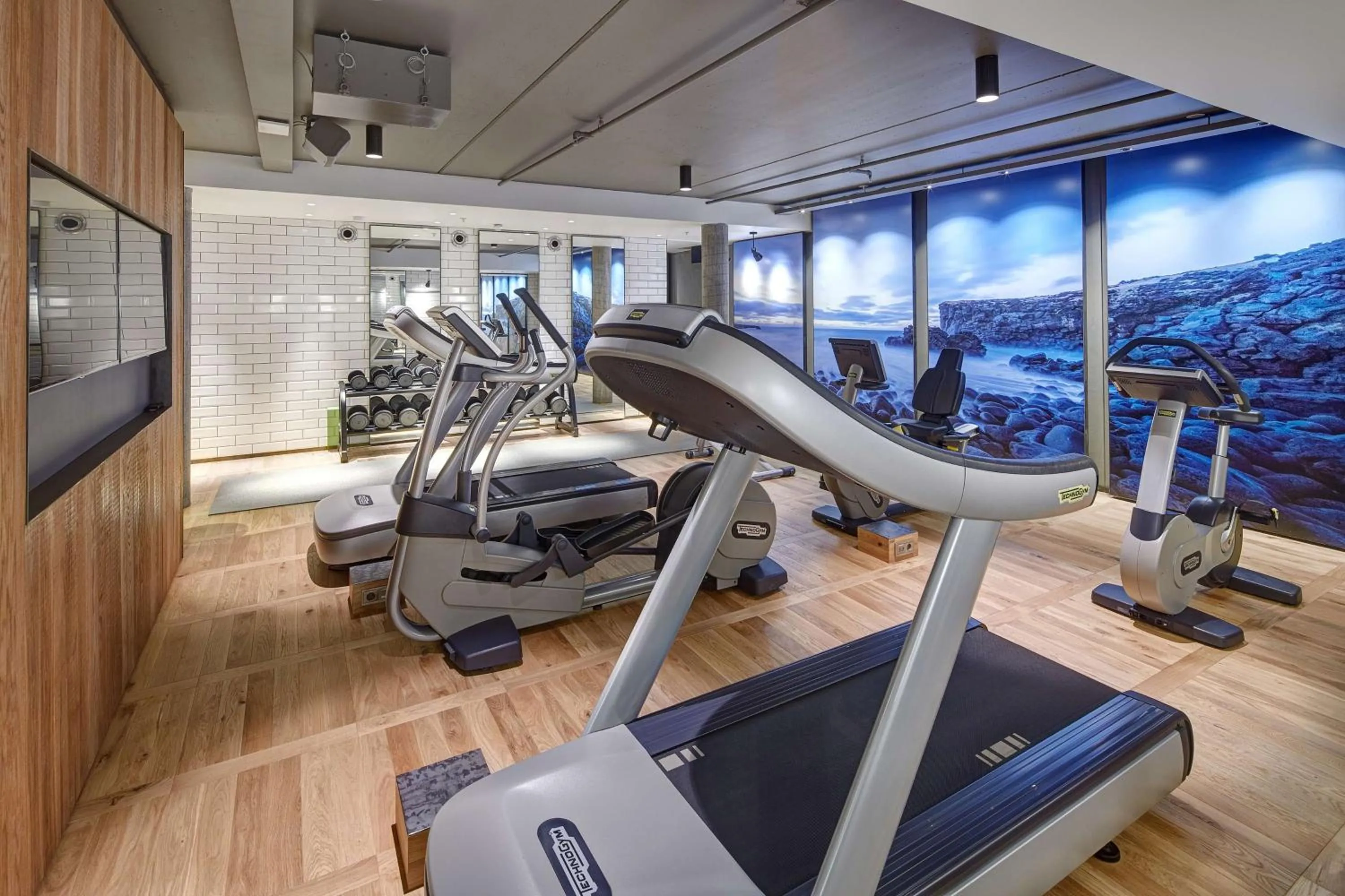 Fitness centre/facilities in Canopy by Hilton Reykjavik City Centre