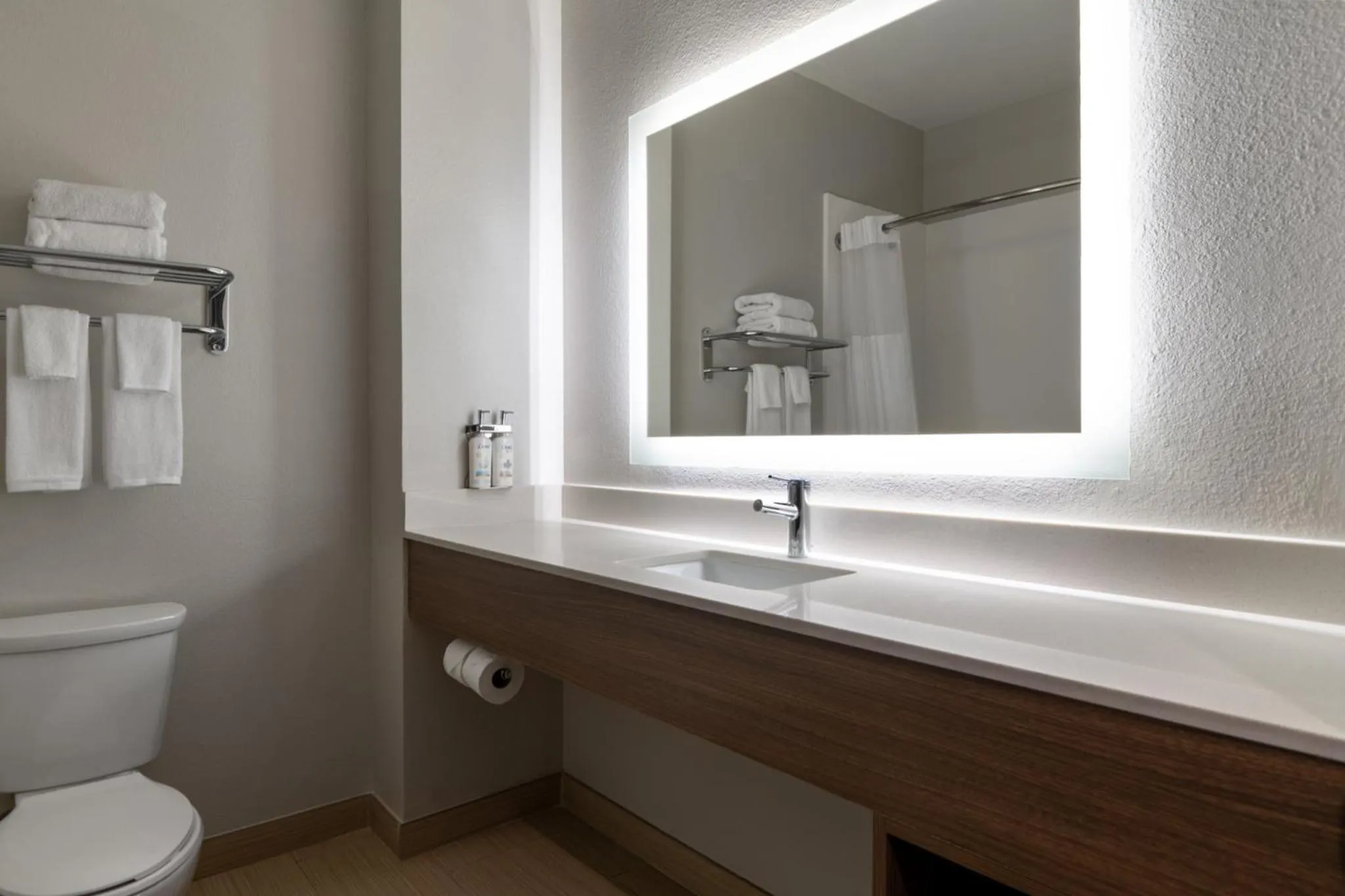 Bathroom in Holiday Inn Galveston Island by IHG