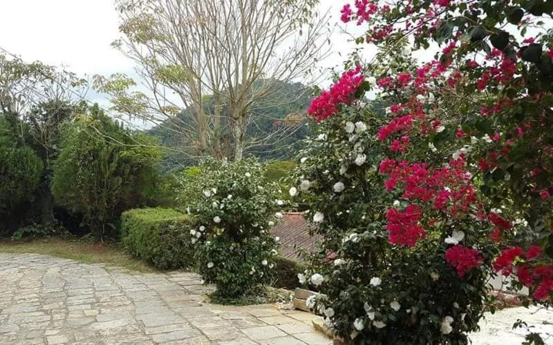 Garden in Pousada Sitio Sossego
