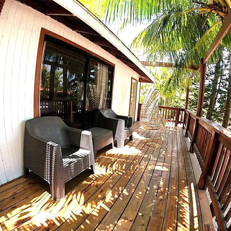 Coconut Tree West Bay