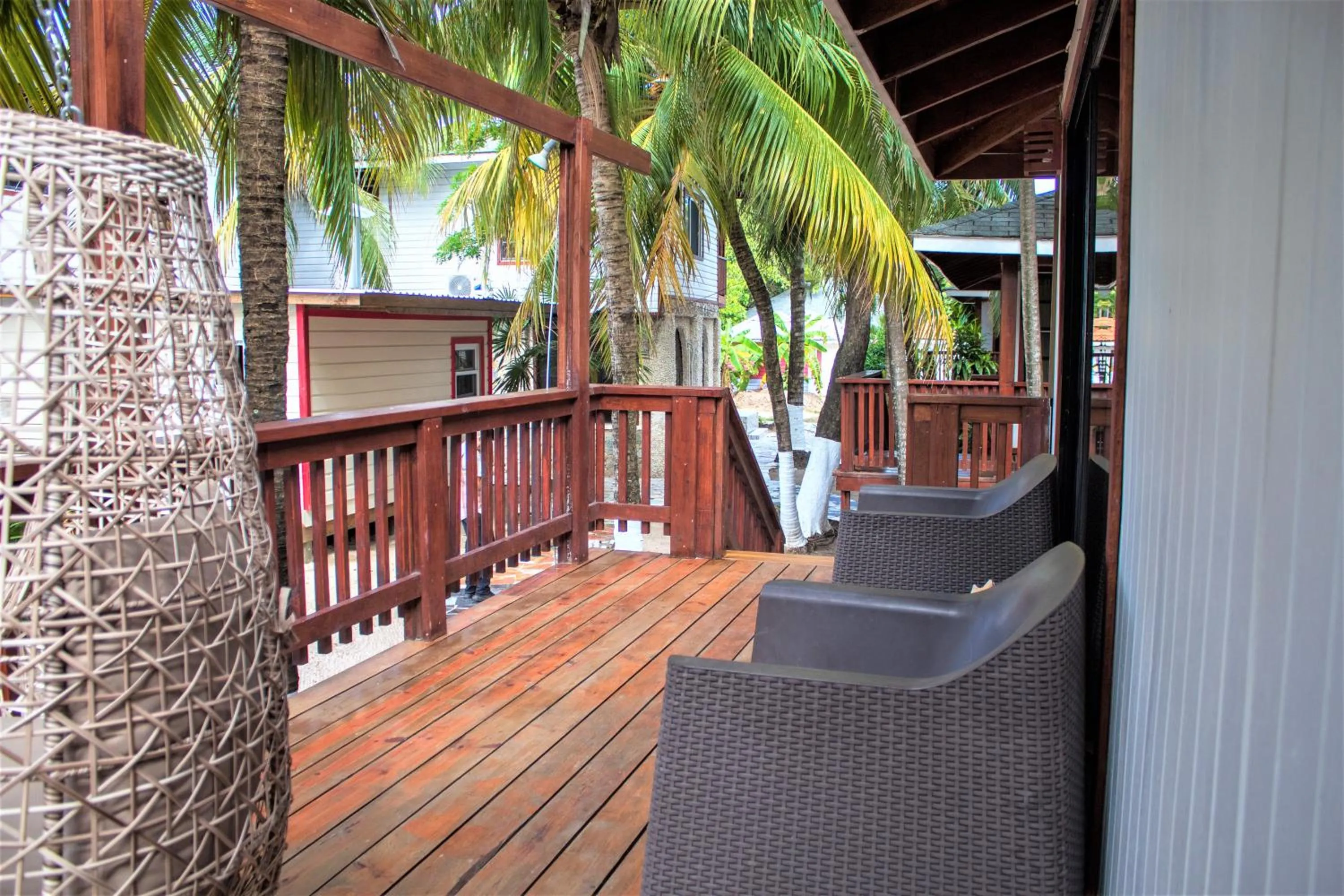 Coconut Tree West Bay