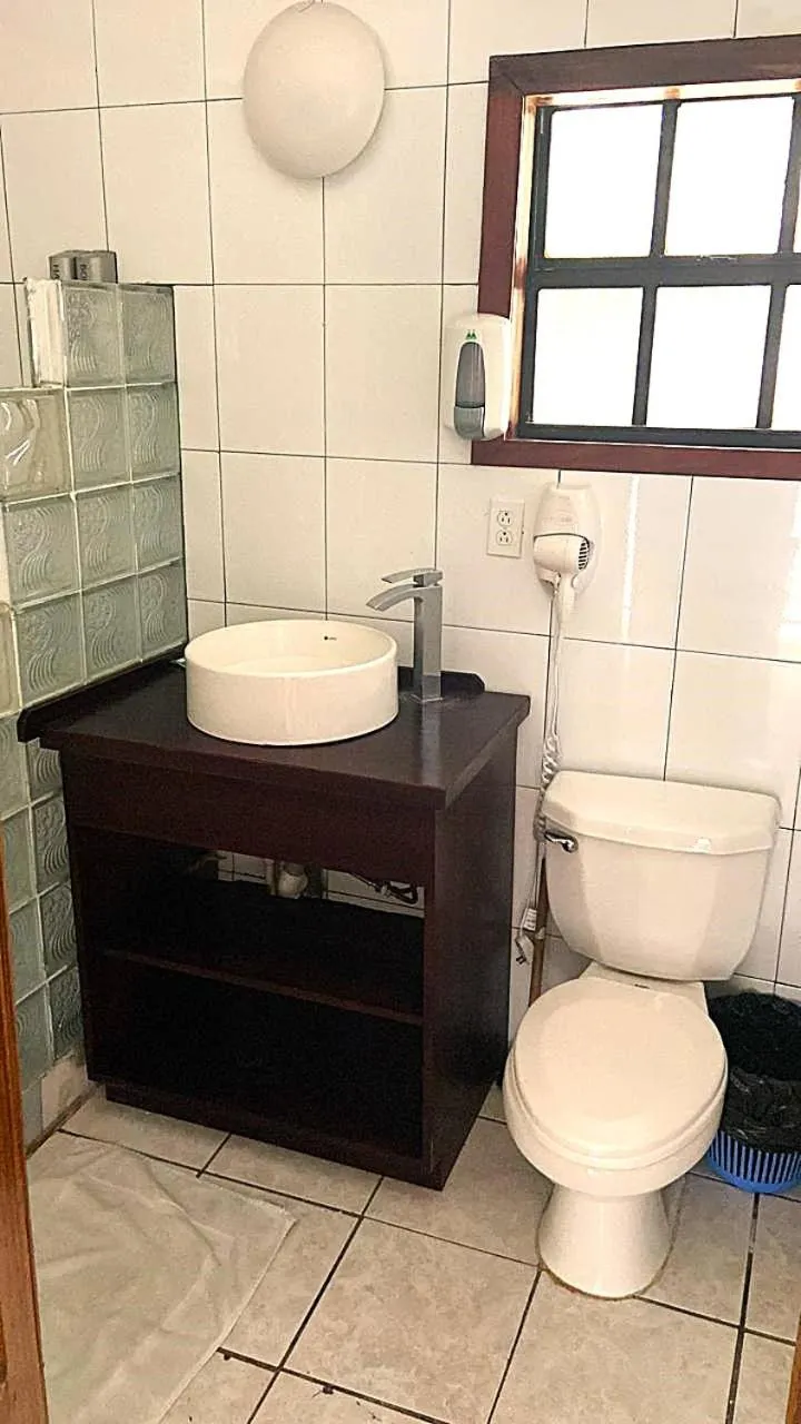 Coconut Tree West Bay