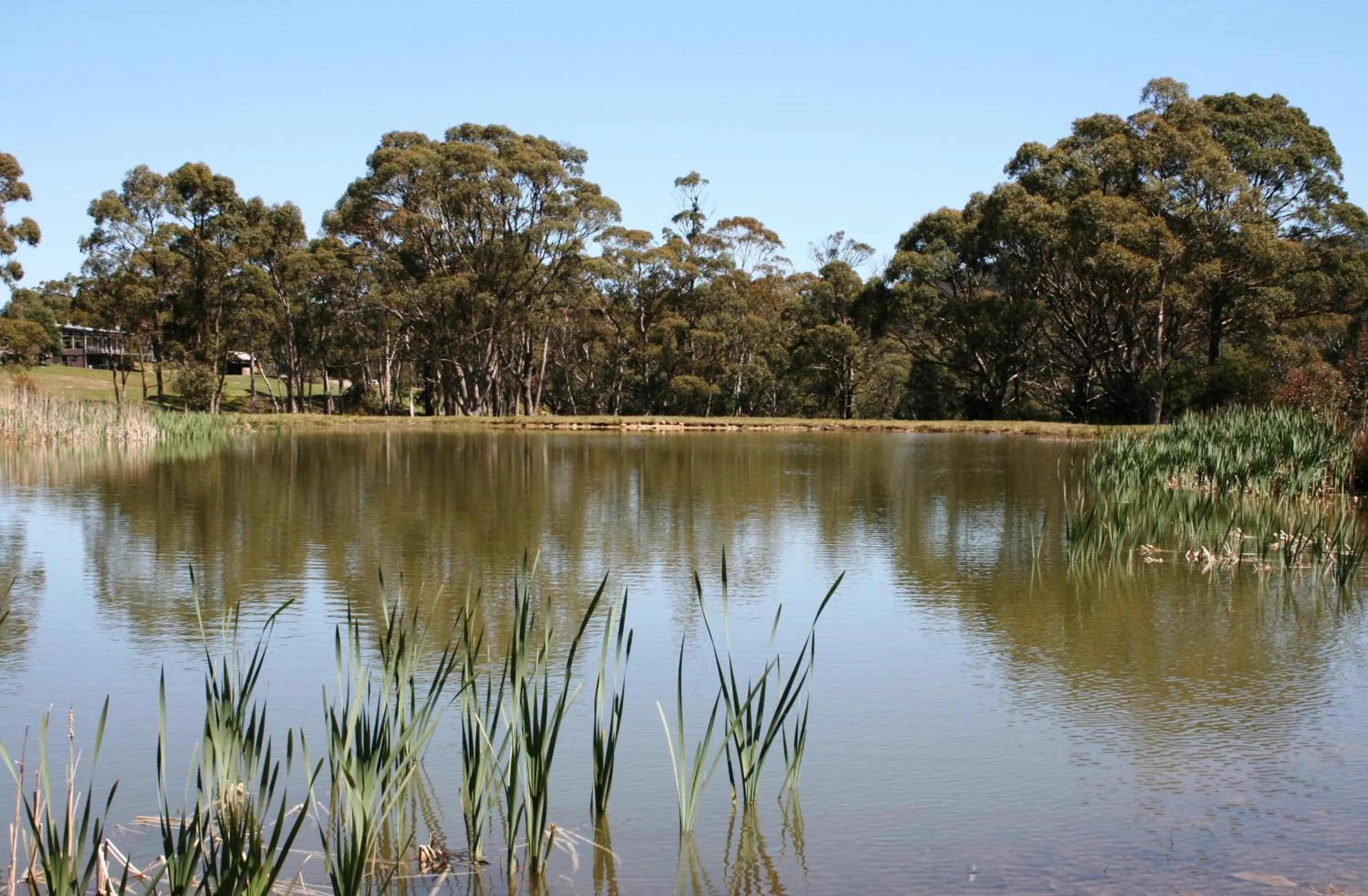 View (from property/room) in Craggy Peaks Wilderness Cabins