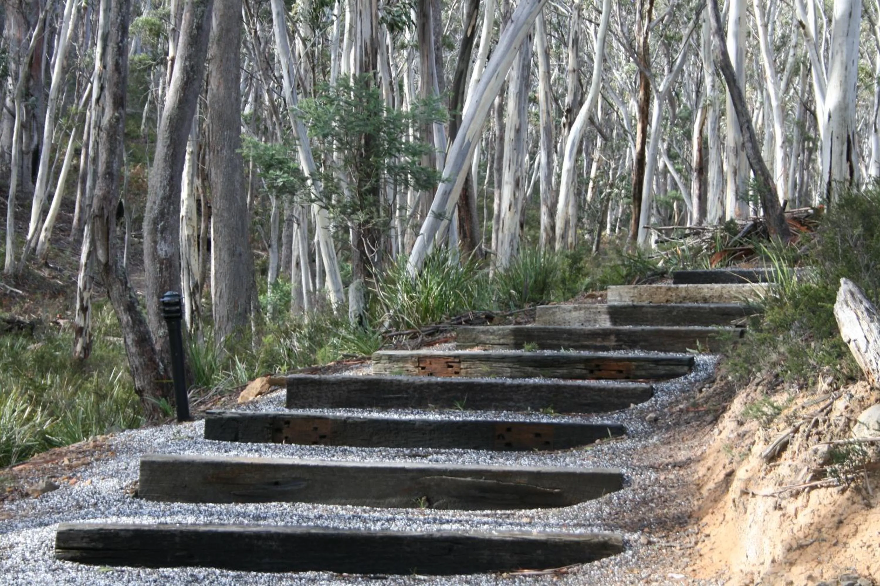 Mountain view in Craggy Peaks Wilderness Cabins
